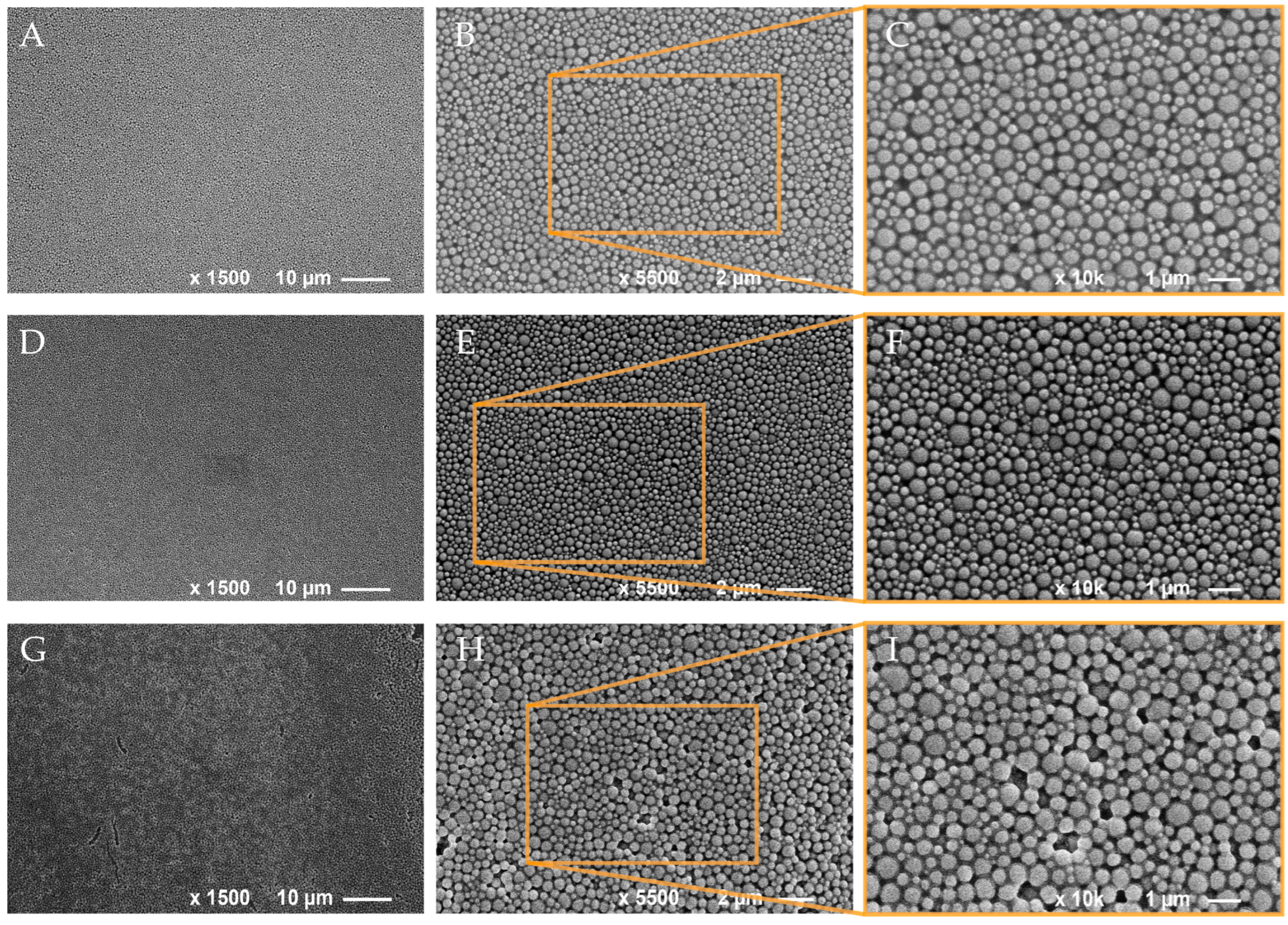 Polymers 16 00947 g001