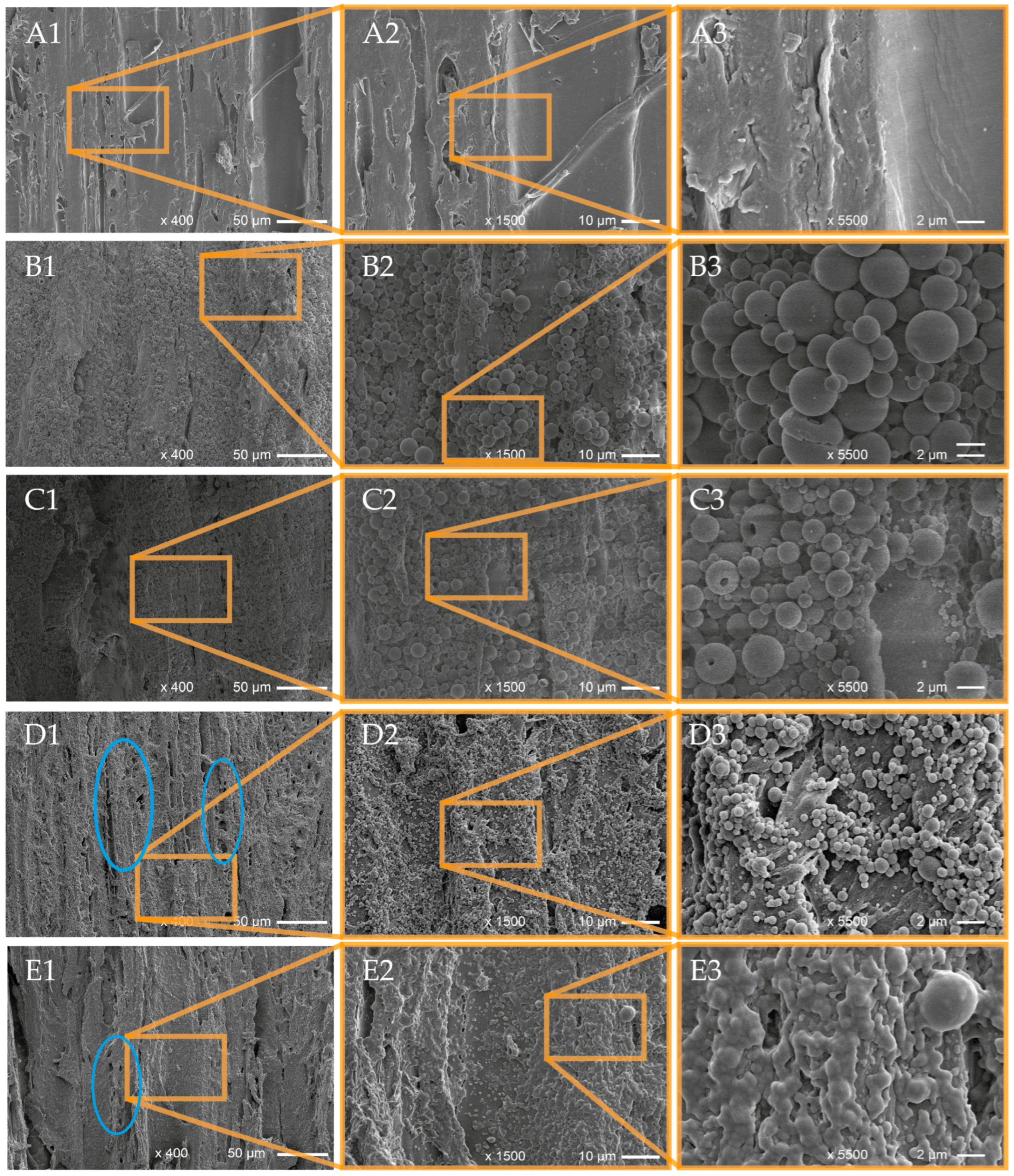 Polymers 16 00947 g004
