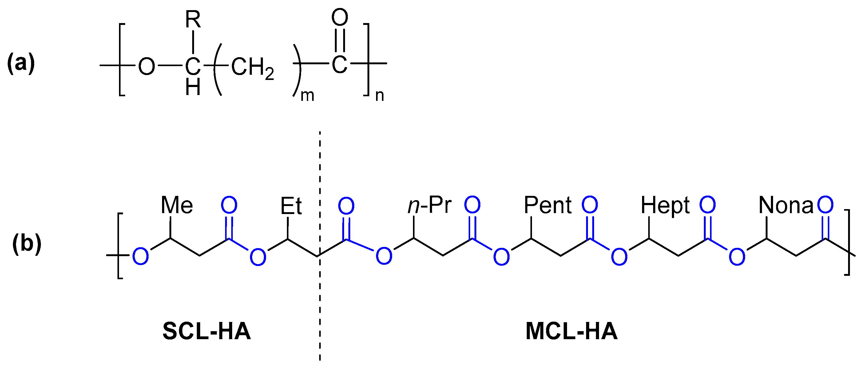 Polymers 16 00950 g005