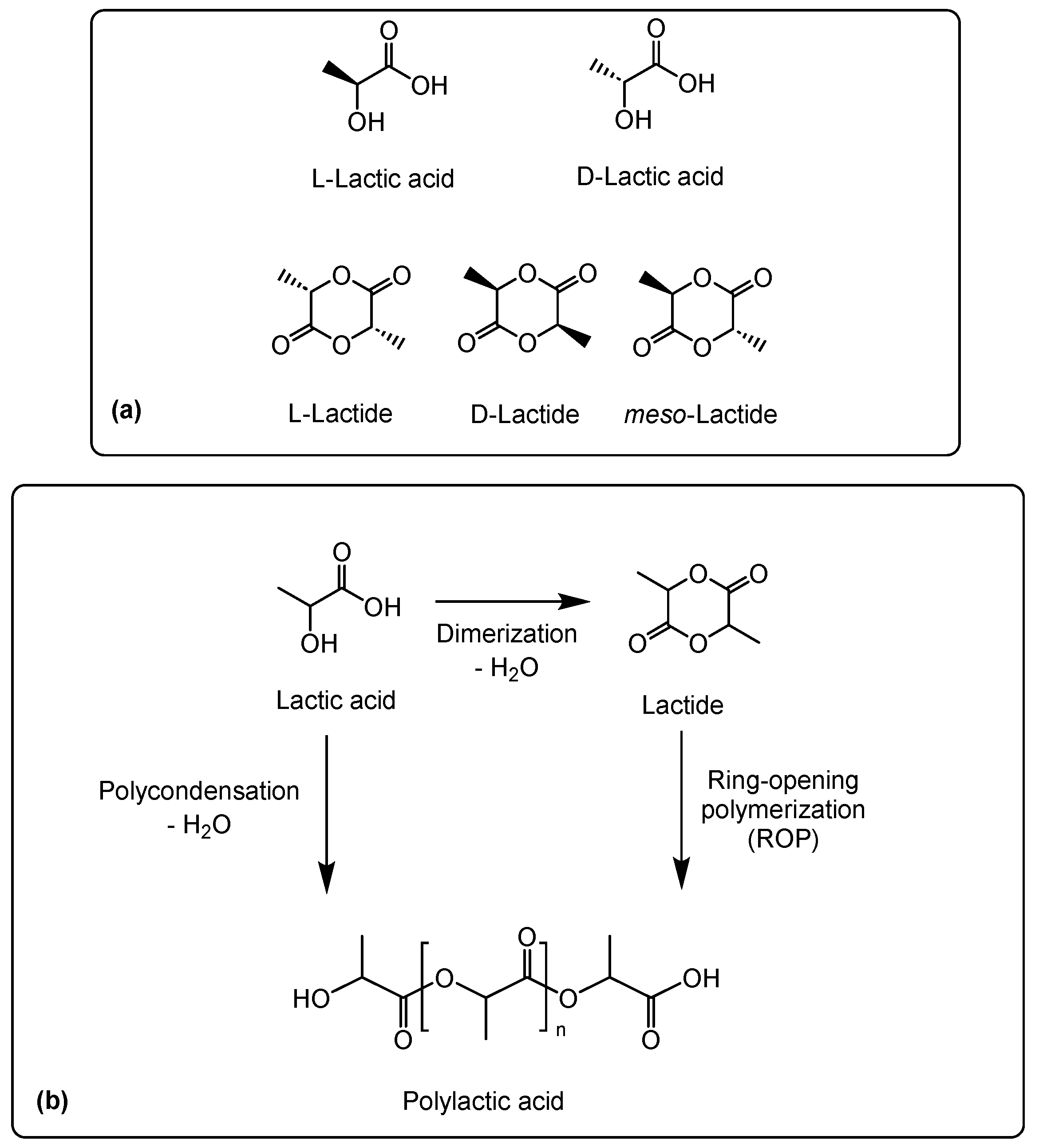 Polymers 16 00950 sch001