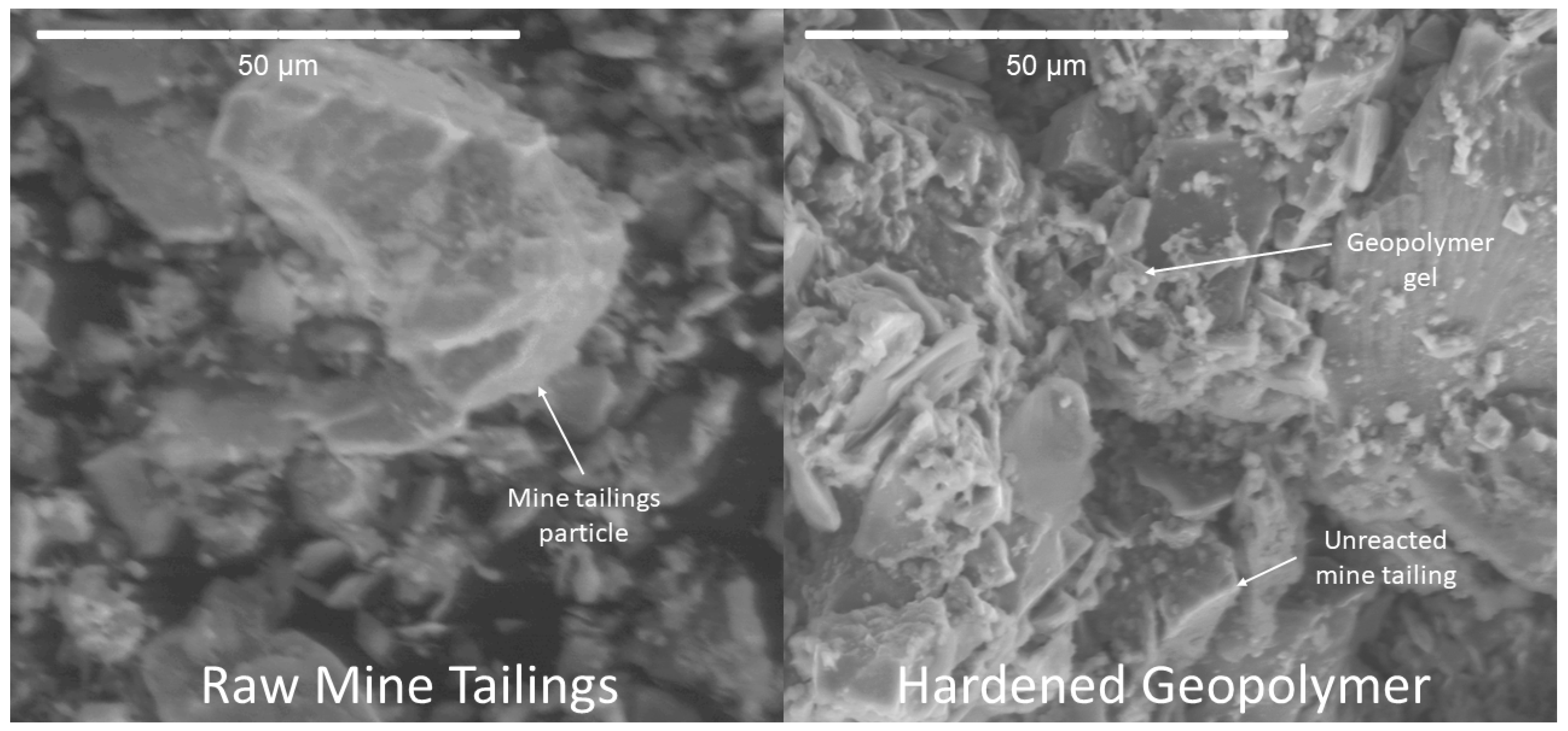 Polymers 16 00957 g012 Polymers 16 00957 g012