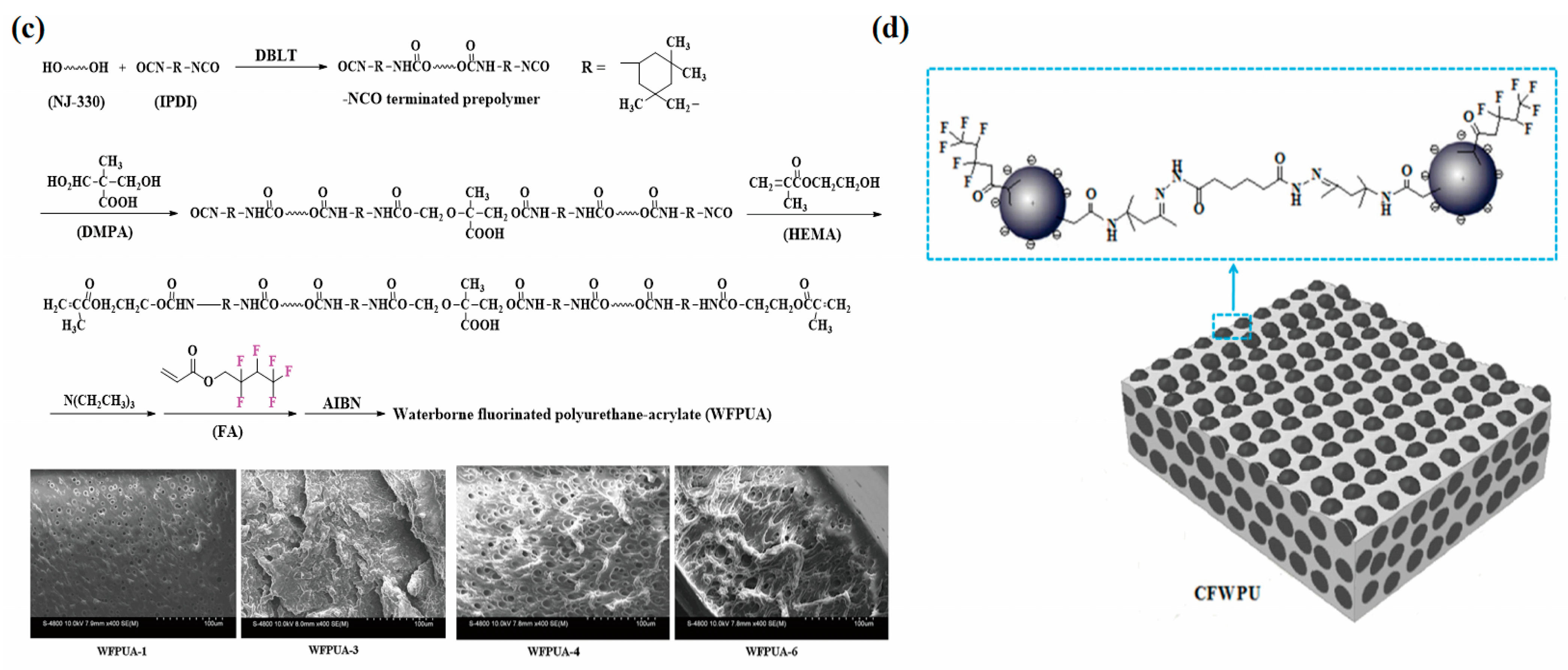 Polymers 16 00959 g011b