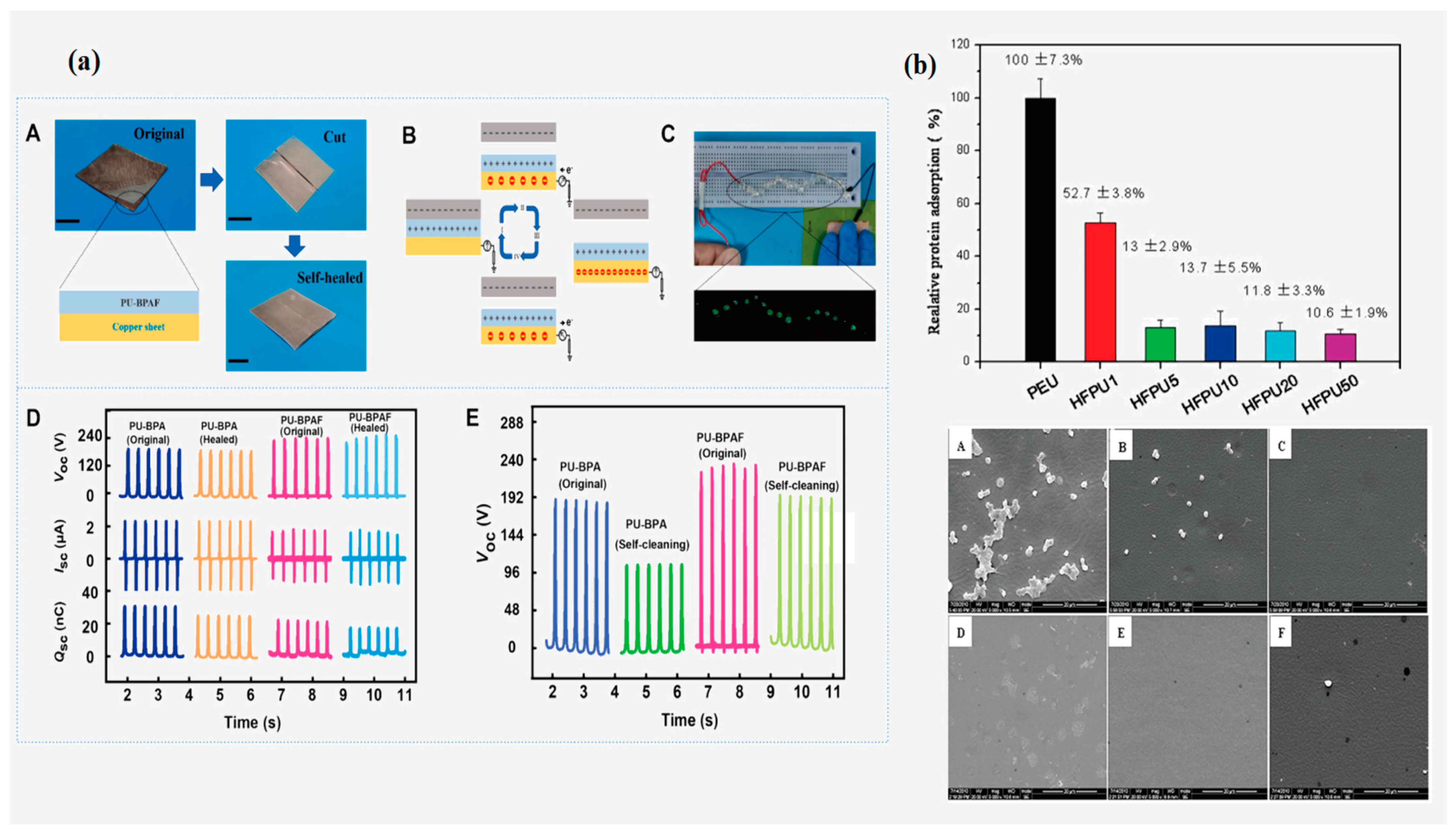 Polymers 16 00959 g015