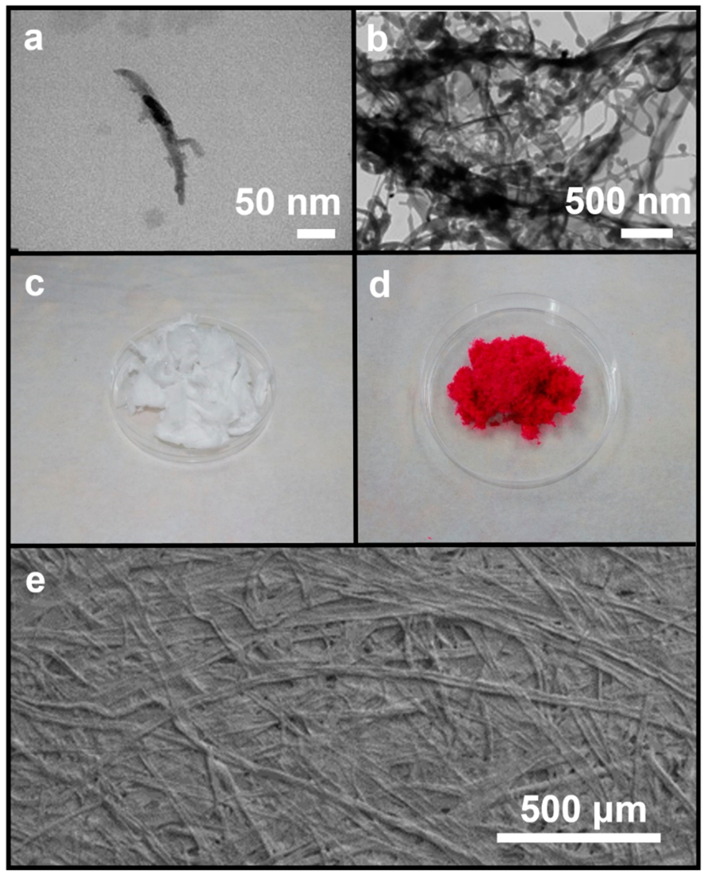 Polymers 16 00960 g001
