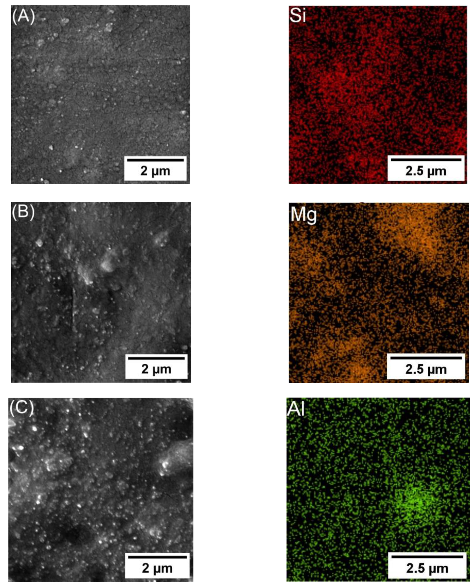 Polymers 16 00963 g003