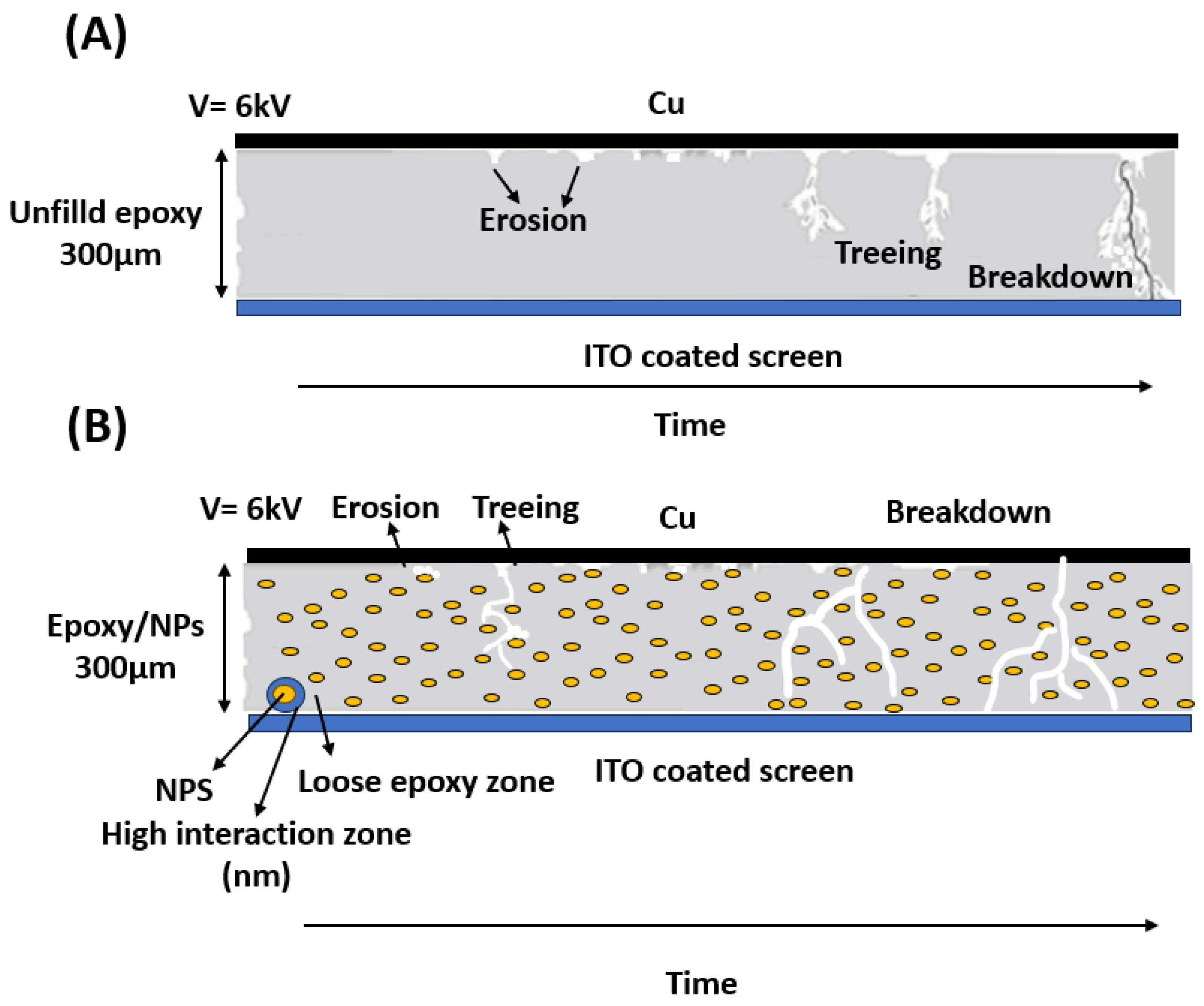 Polymers 16 00963 g007