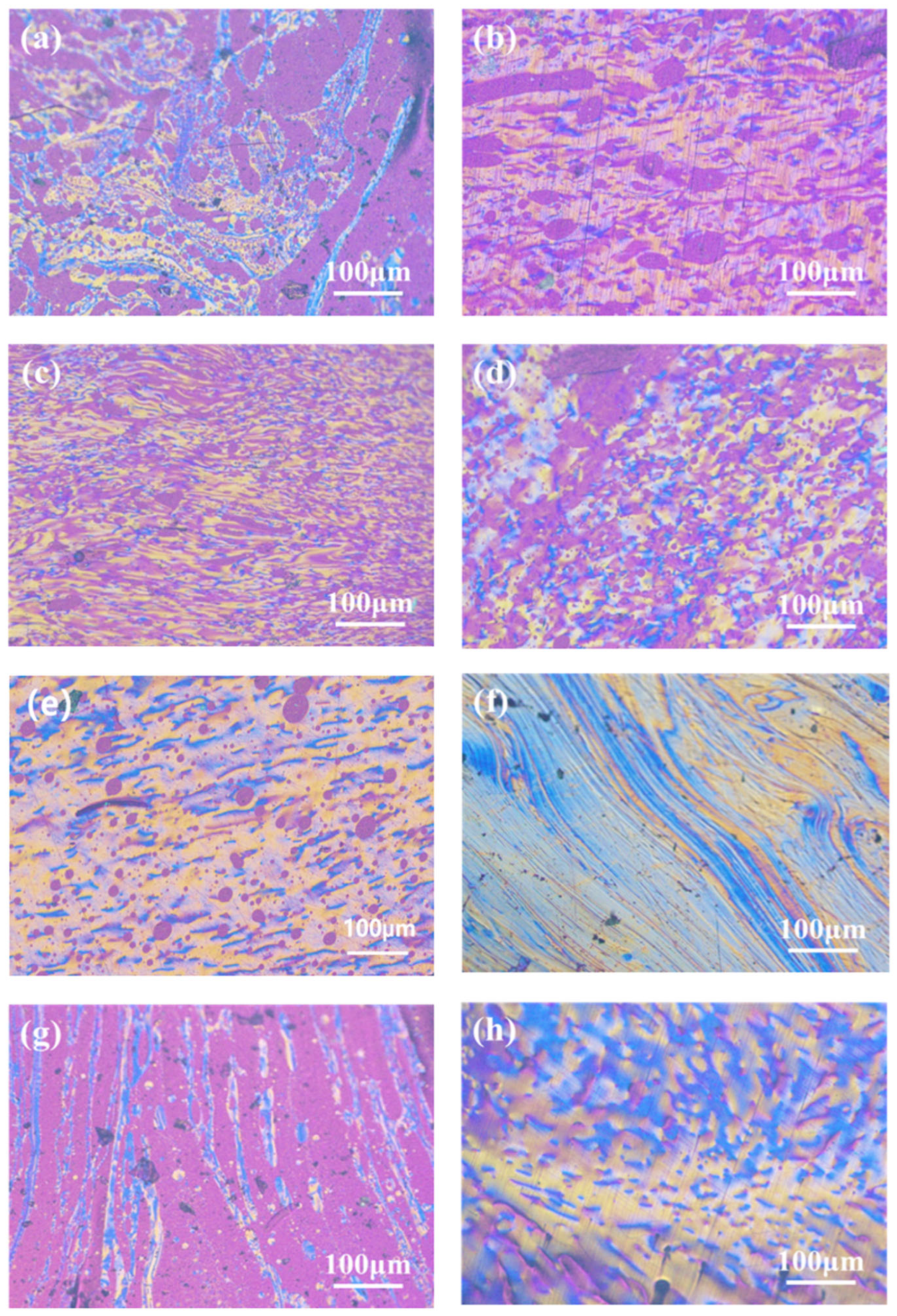 Polymers 16 00970 g002