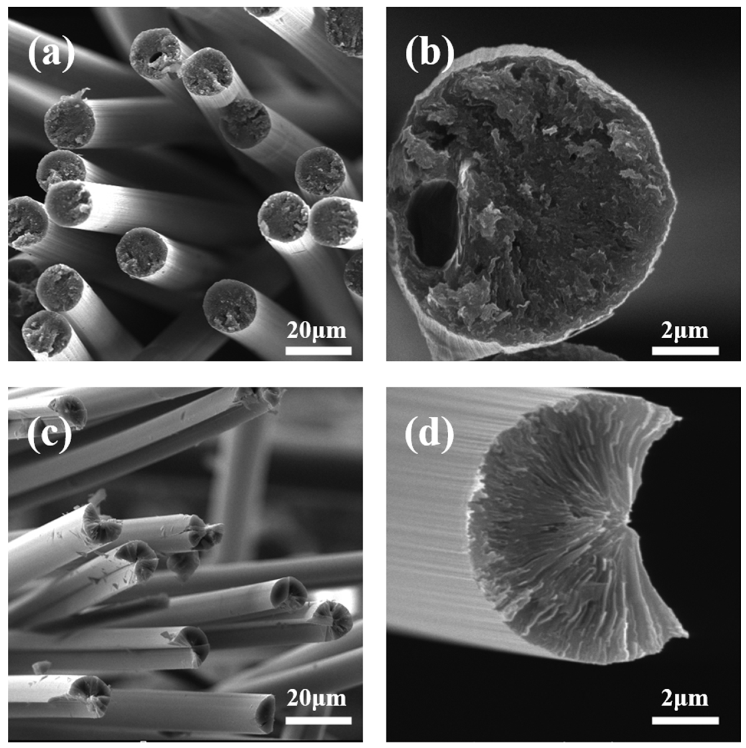 Polymers 16 00970 g006
