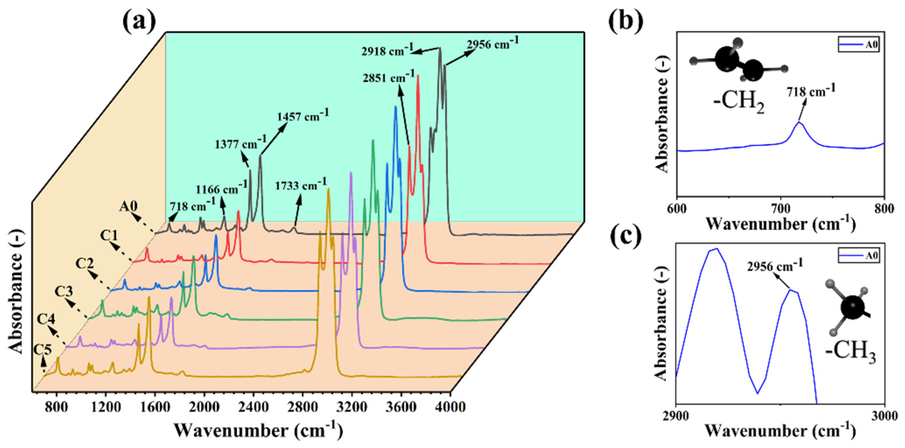 Polymers 16 00972 g002
