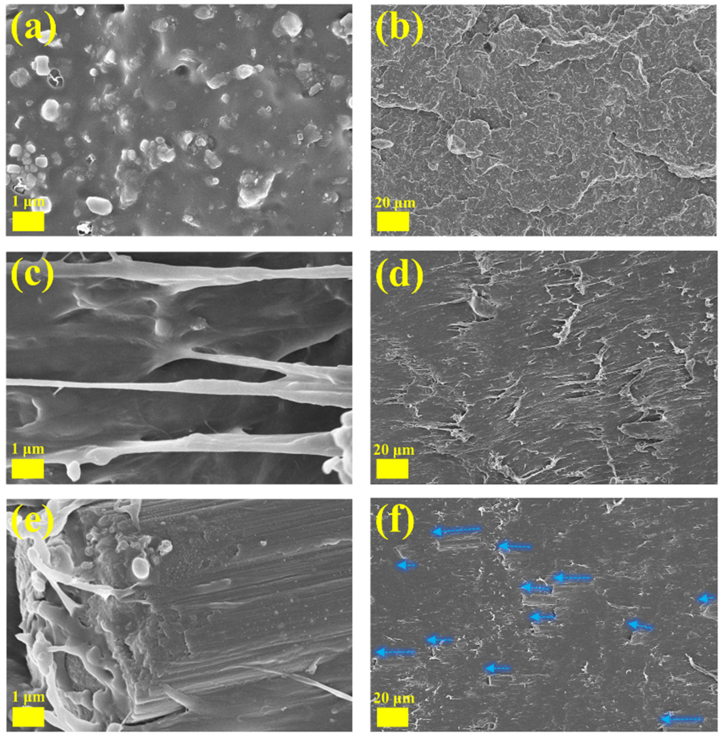 Polymers 16 00972 g006
