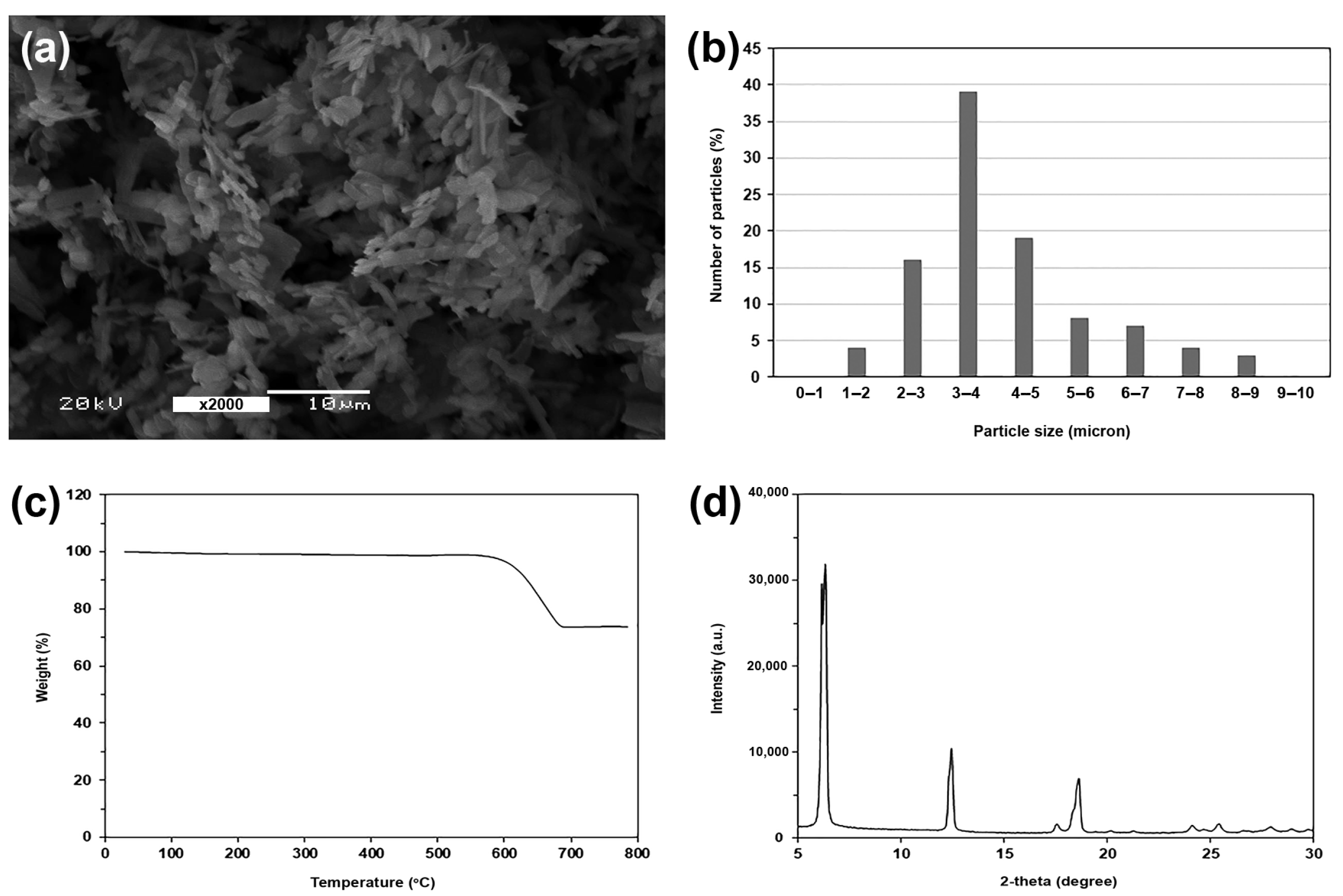 Polymers 16 00975 g001