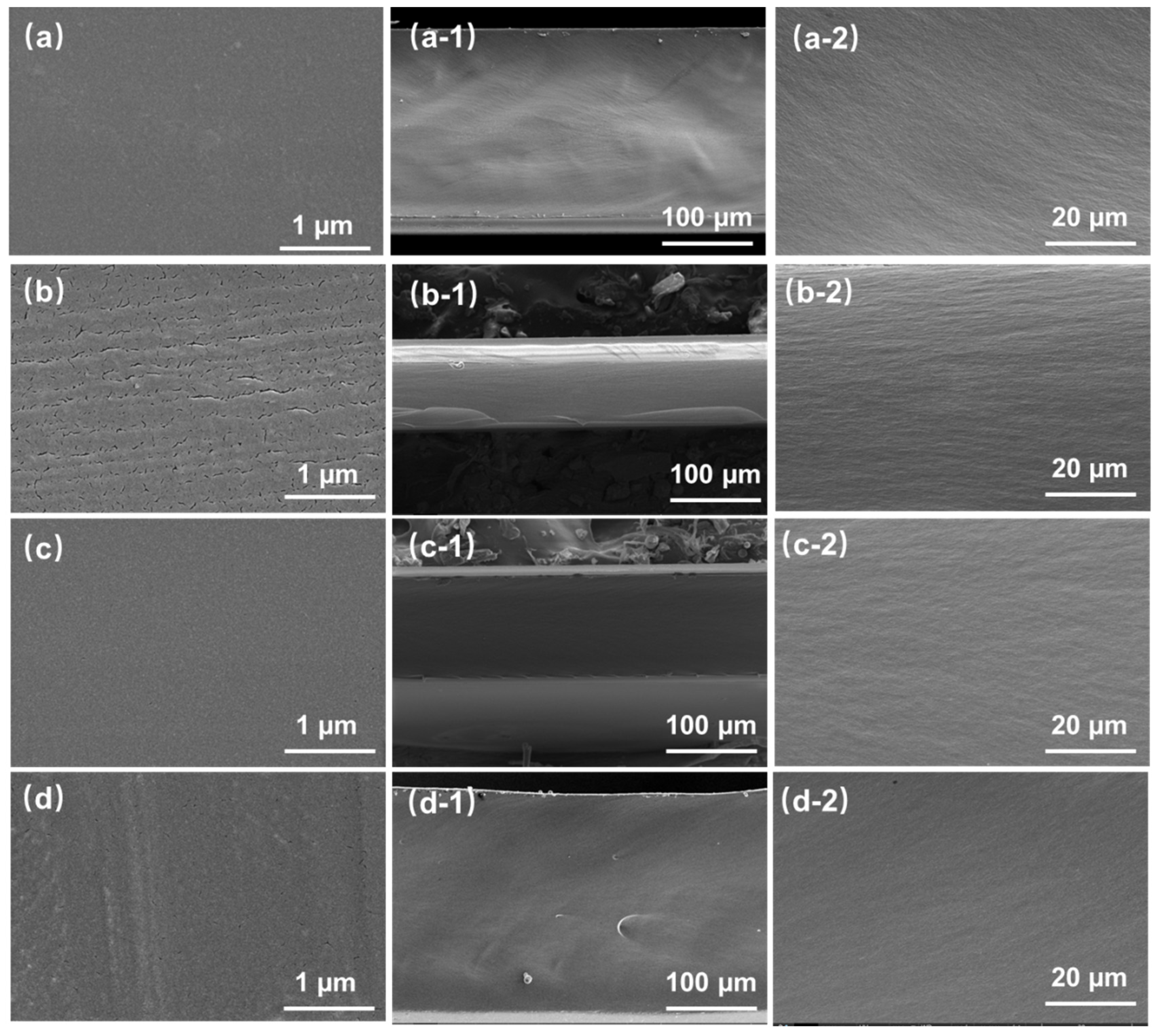 Polymers 16 00984 g003 Polymers 16 00984 g003