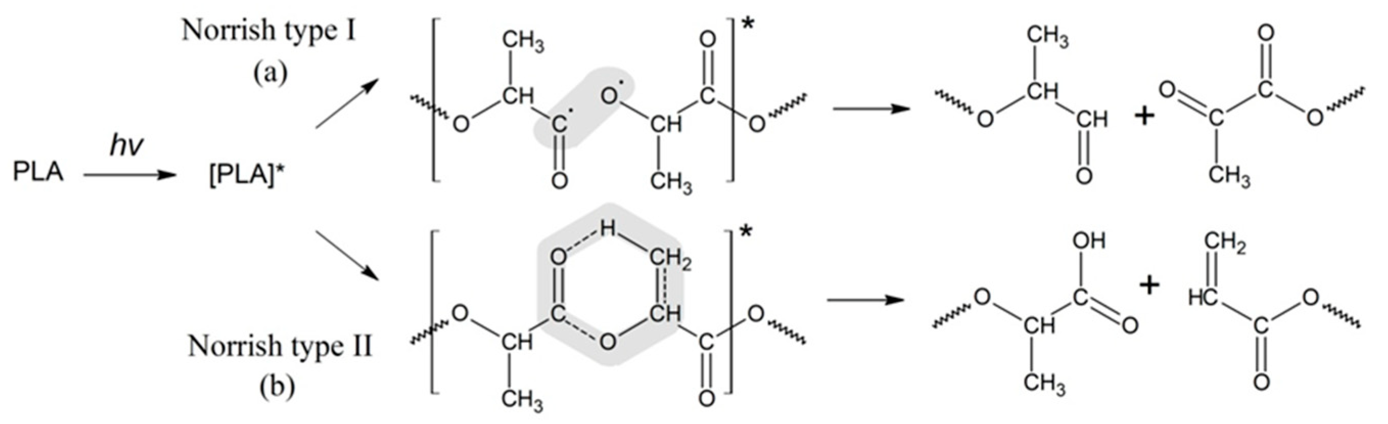 Polymers 16 00985 g001