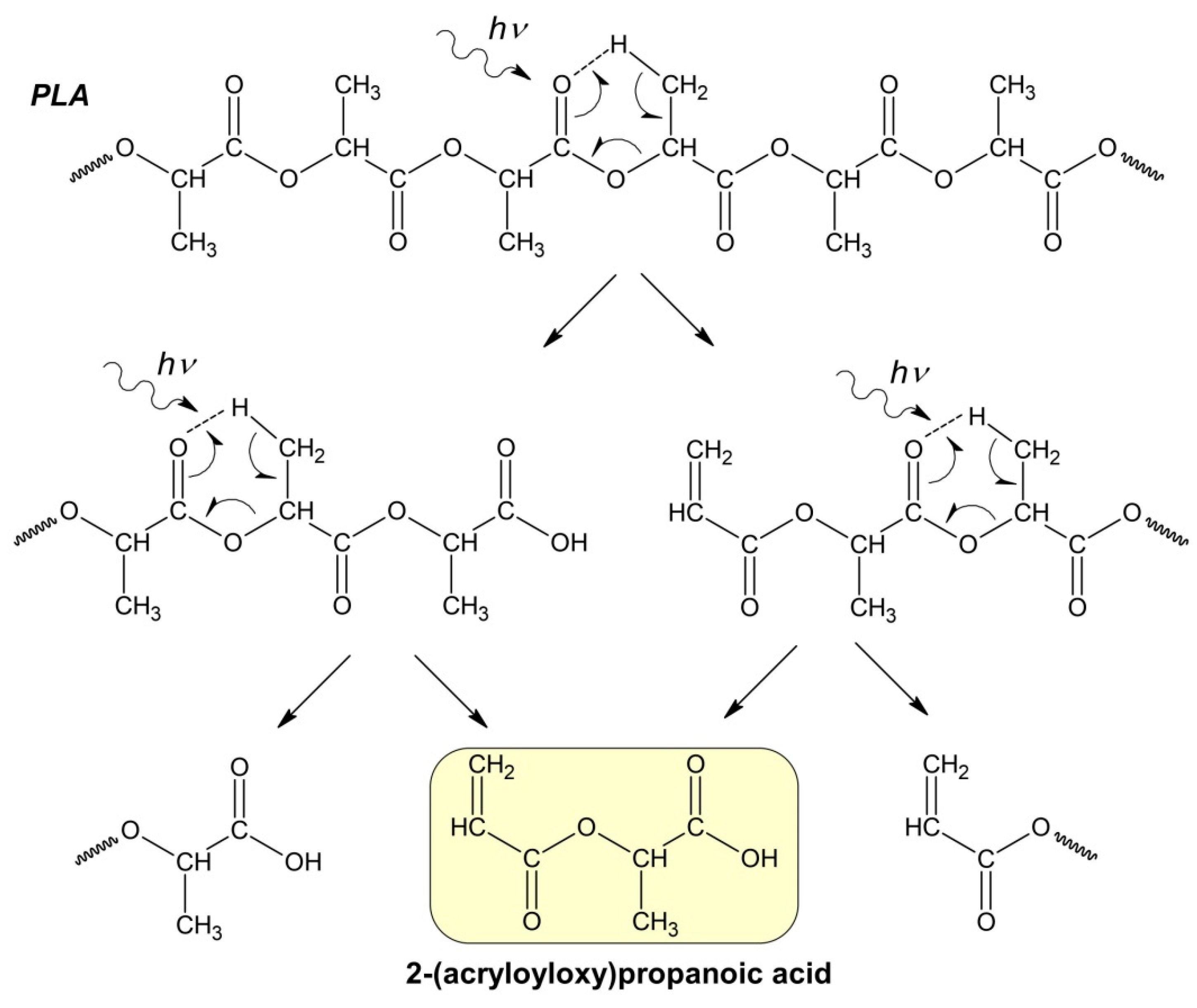 Polymers 16 00985 g004