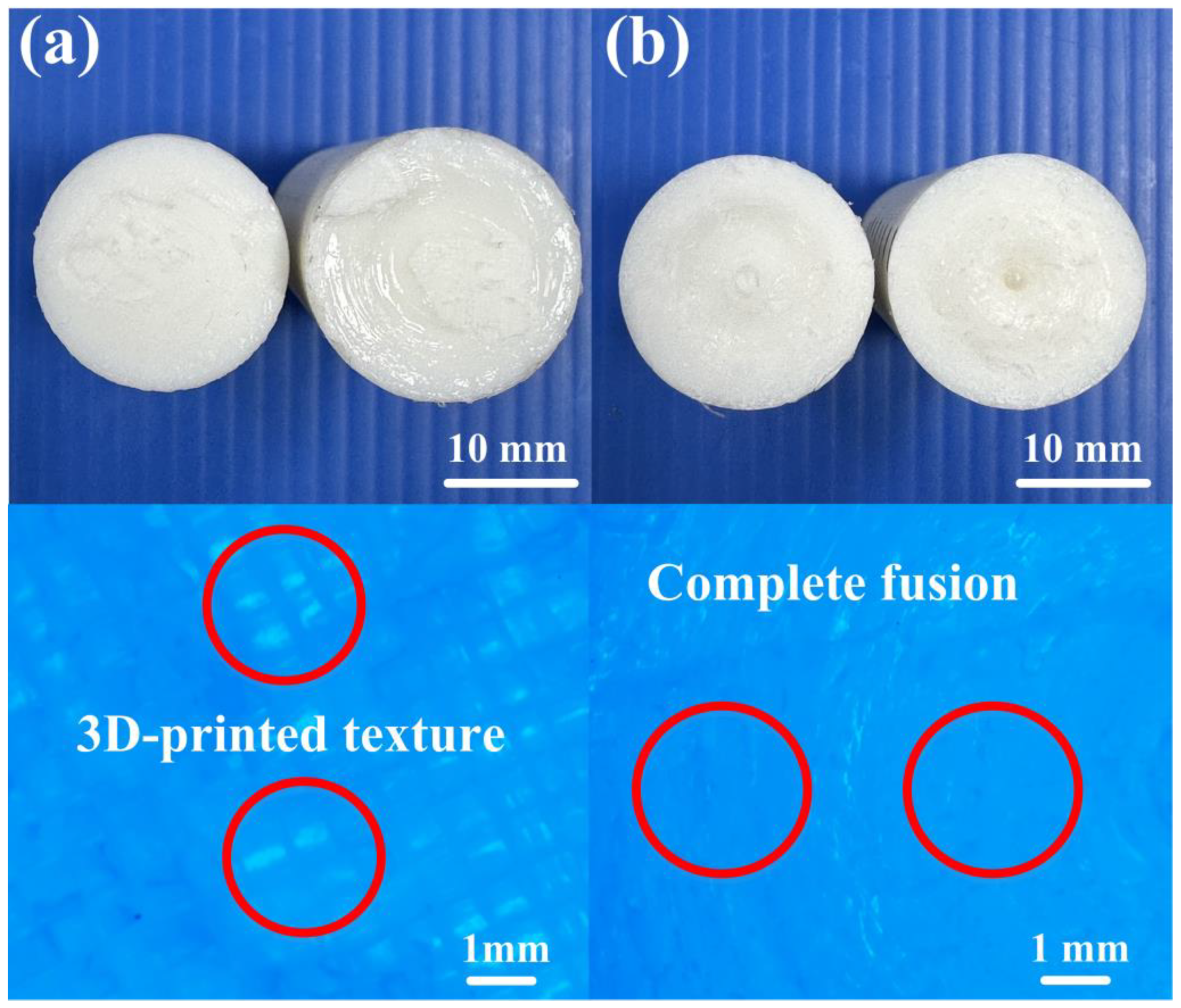 Polymers 16 00991 g007