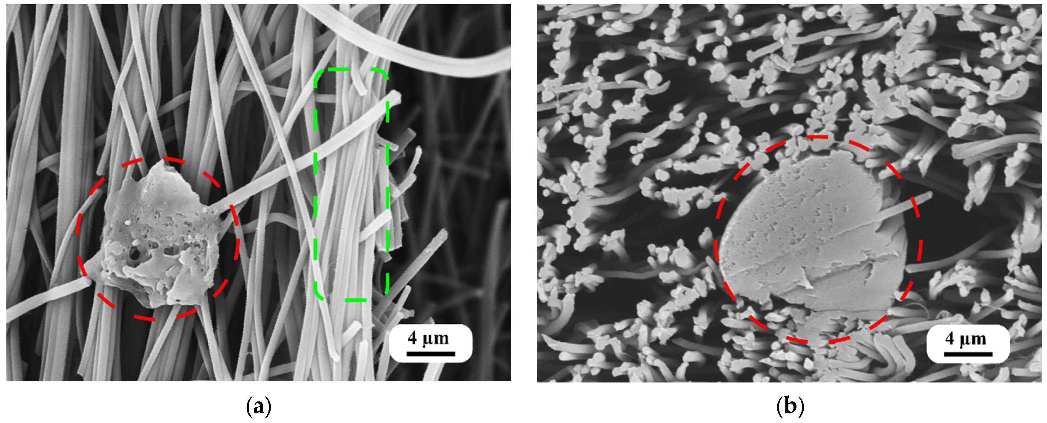 Polymers 16 00992 g004