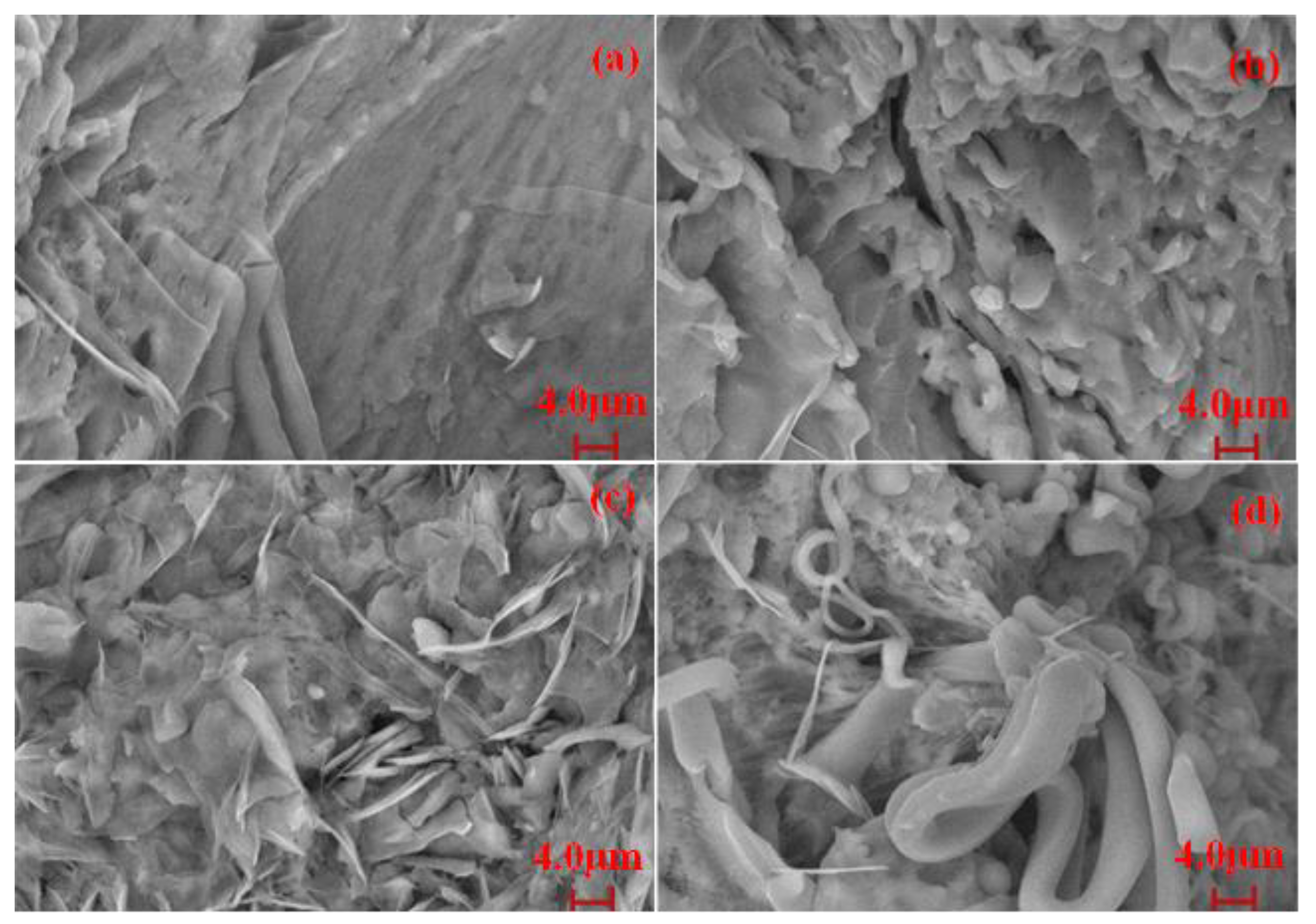 Polymers 16 00993 g011
