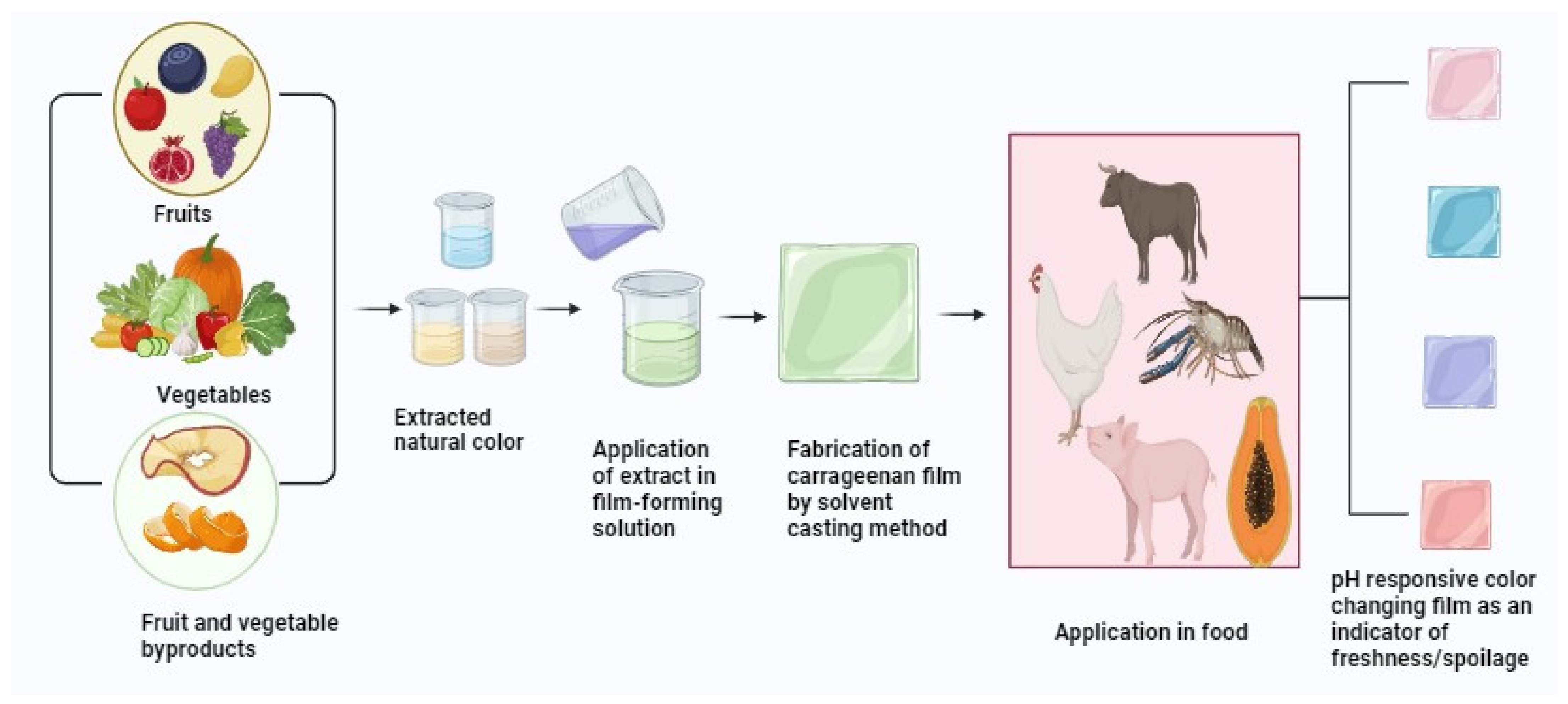 Polymers 16 01001 g003