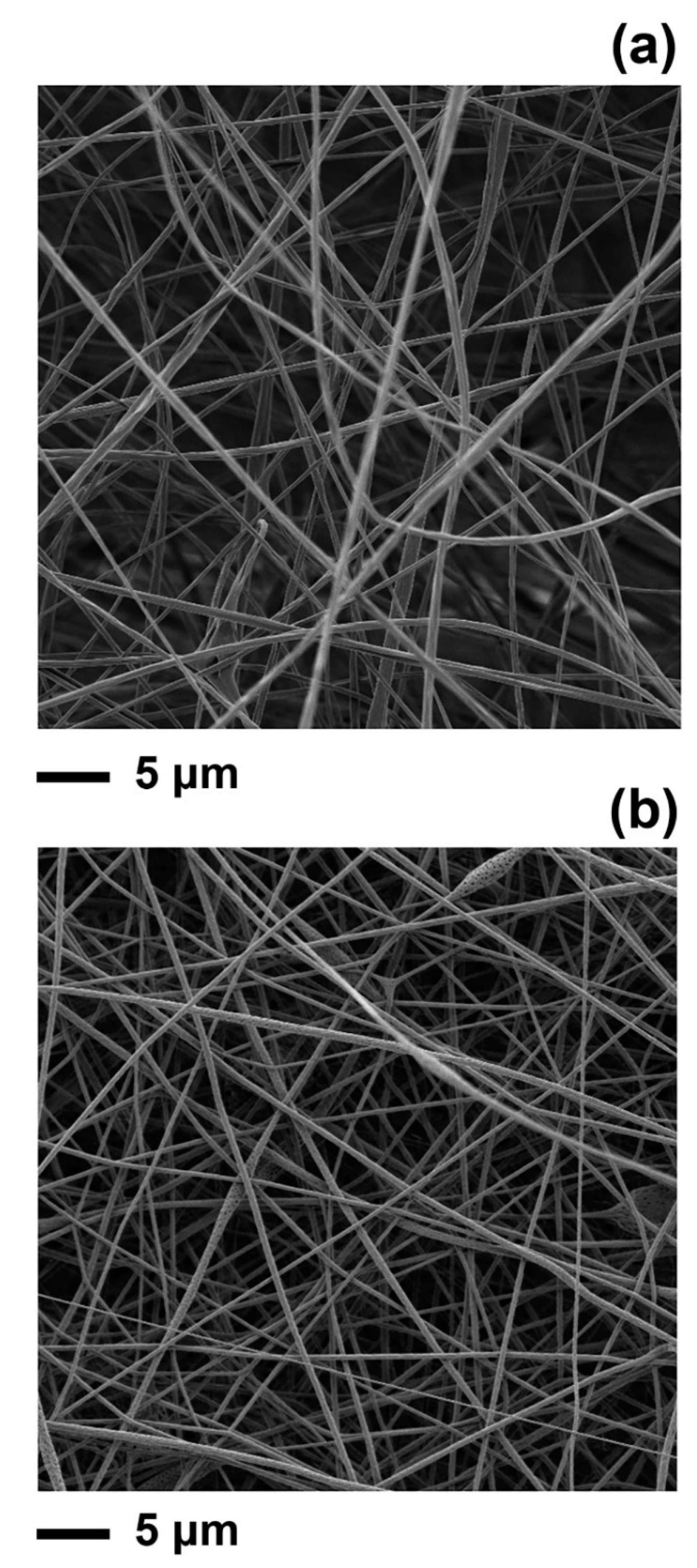 Polymers 16 01005 g001