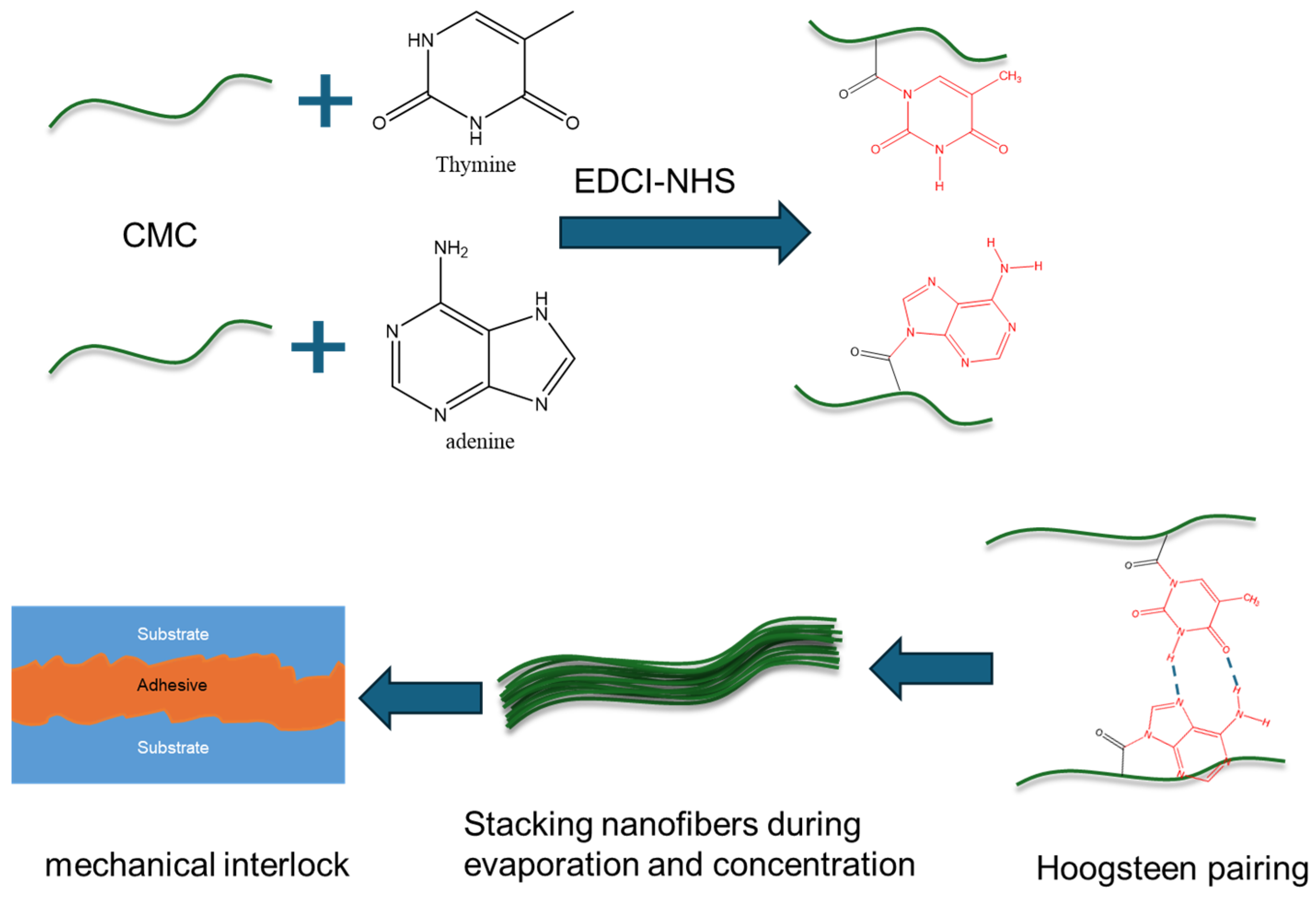 Polymers 16 01008 g001