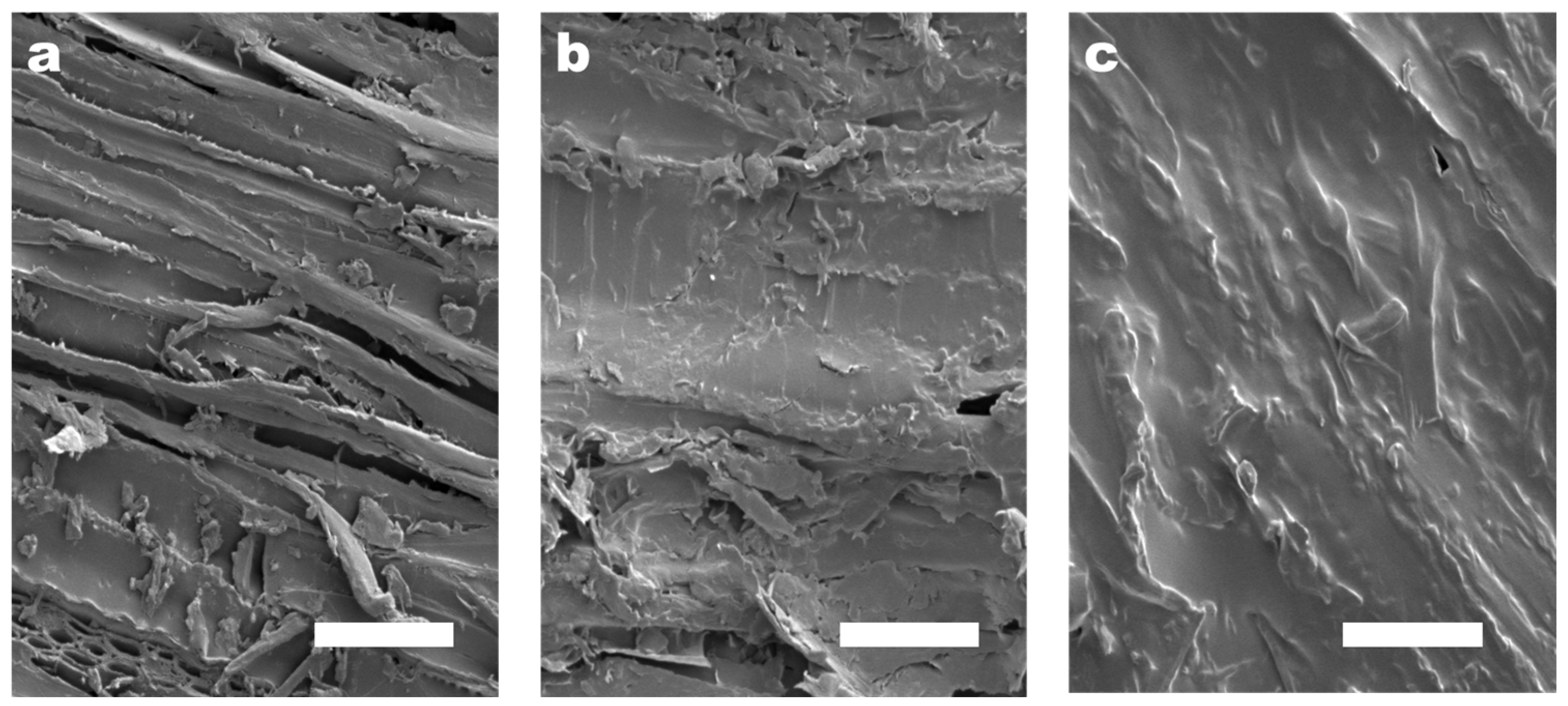 Polymers 16 01008 g007
