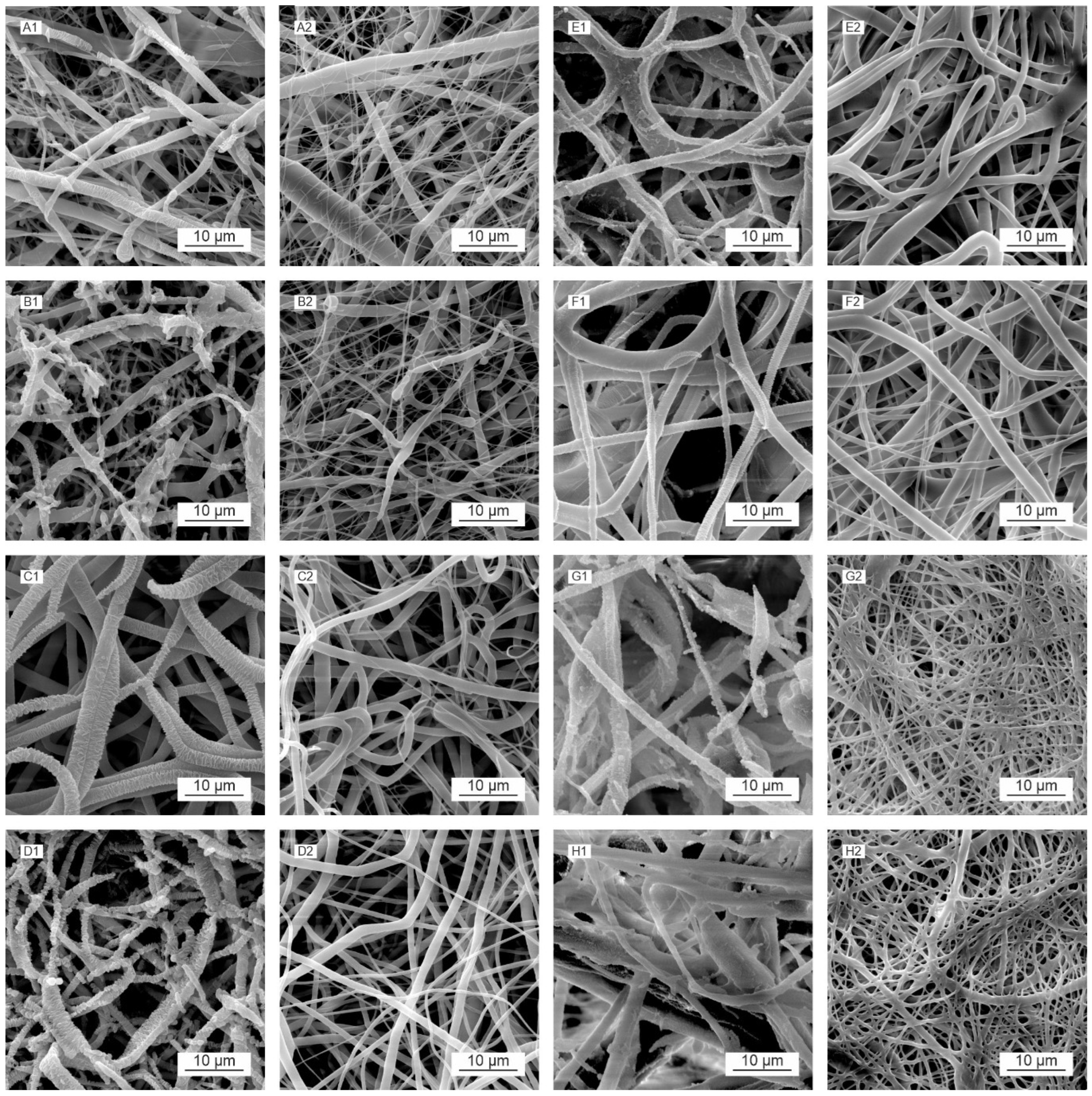 Polymers 16 01029 g008