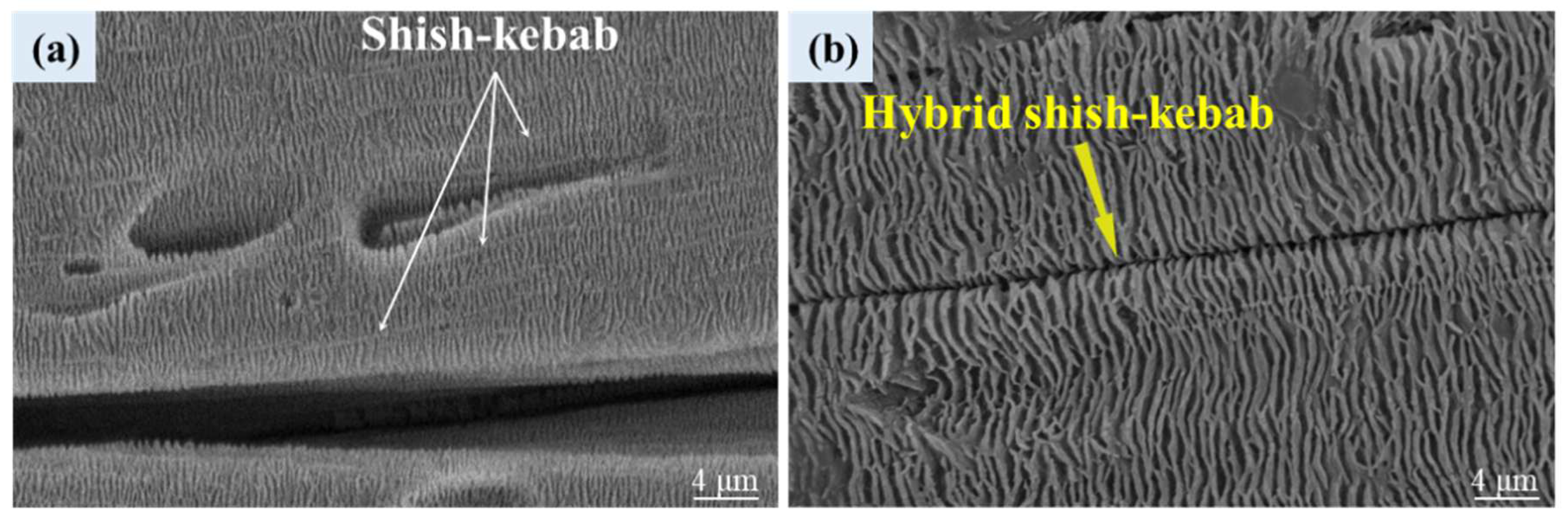 Polymers 16 01032 g006