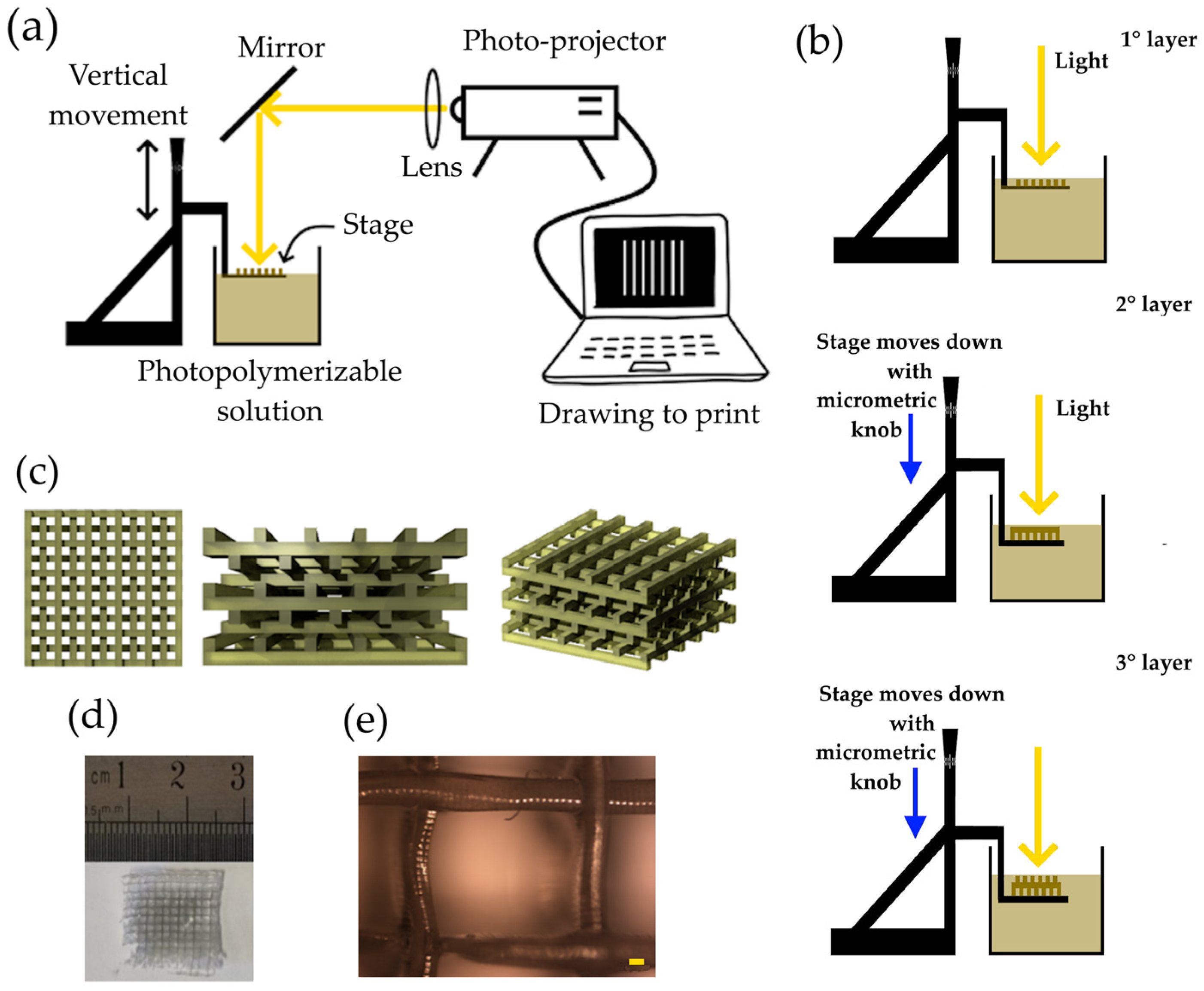 Polymers 16 01034 g001