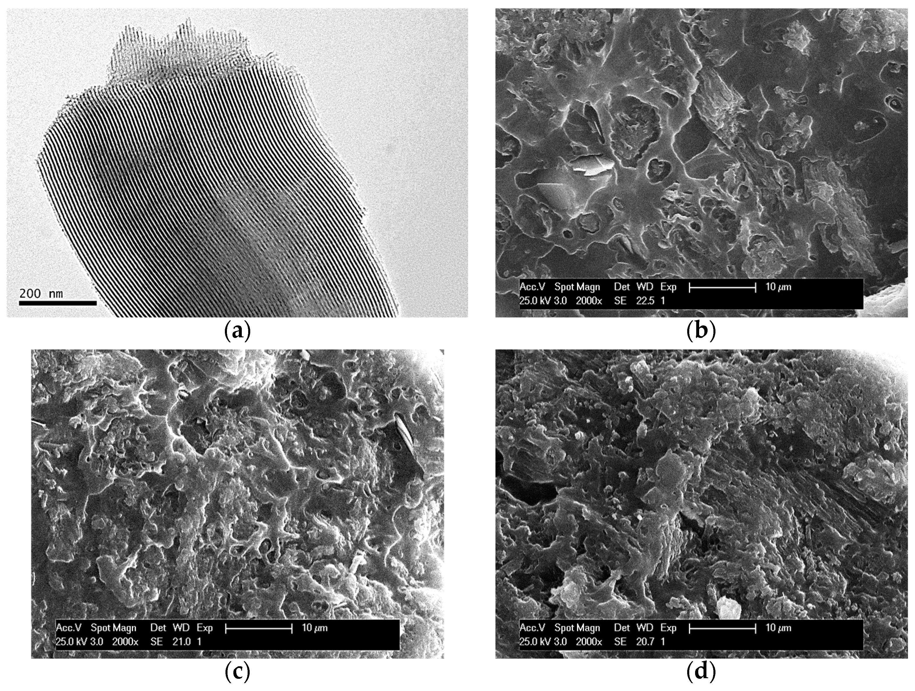 Polymers 16 01037 g001