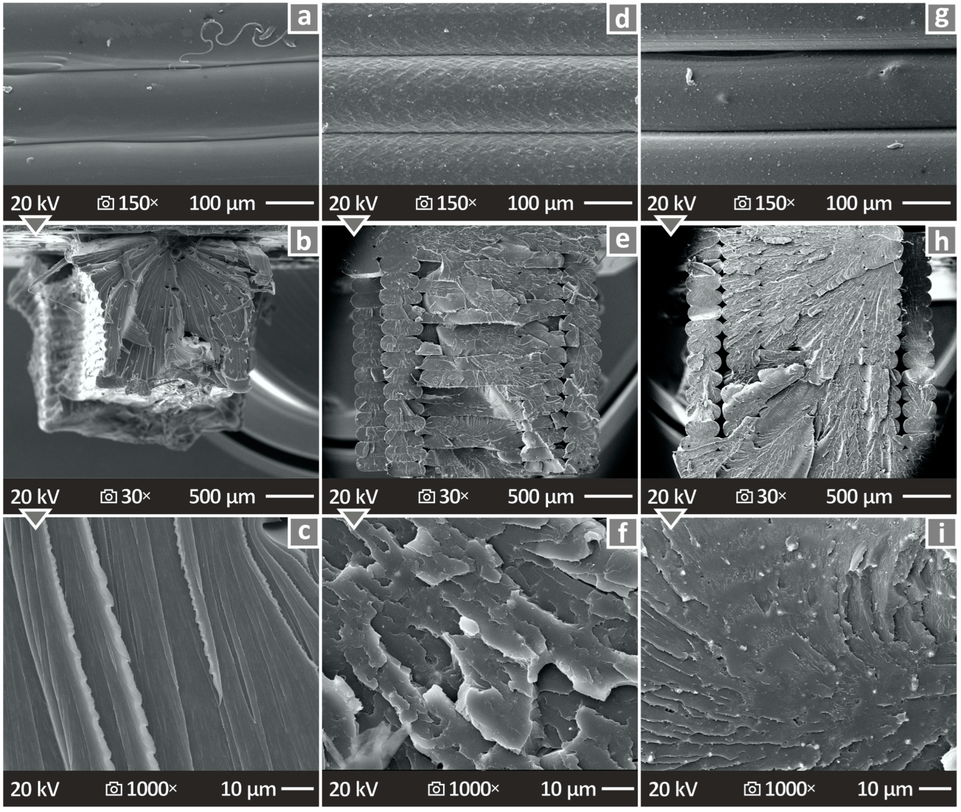 Polymers 16 01043 g014
