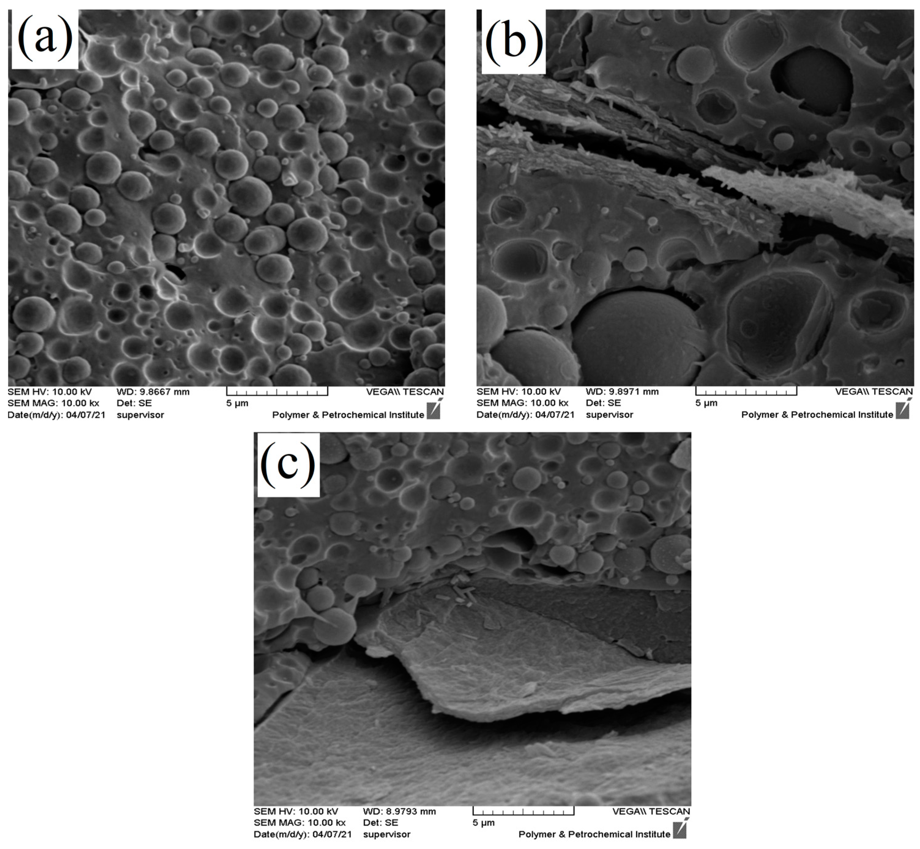 Polymers 16 01061 g004