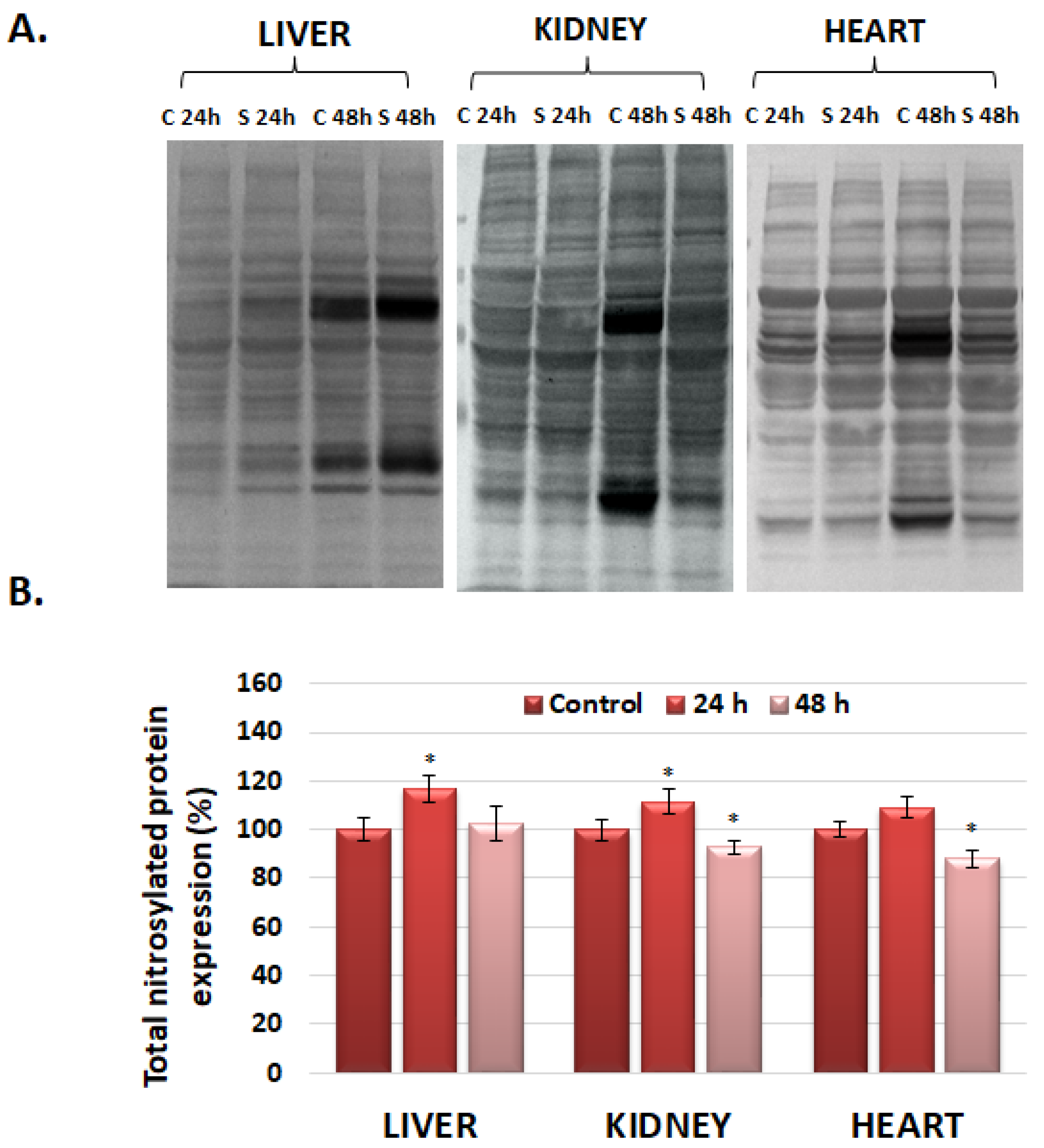 Polymers 16 01064 g004
