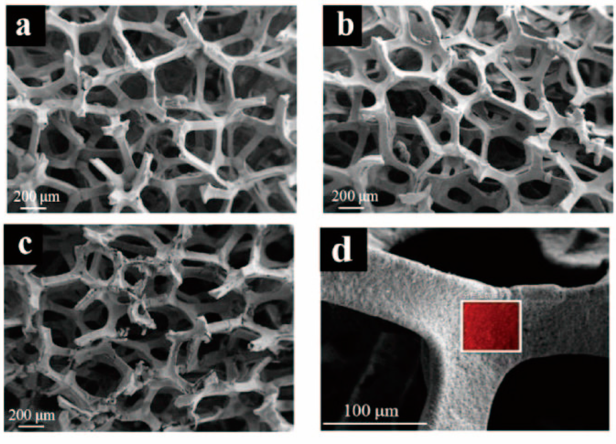 Polymers 16 01066 g004