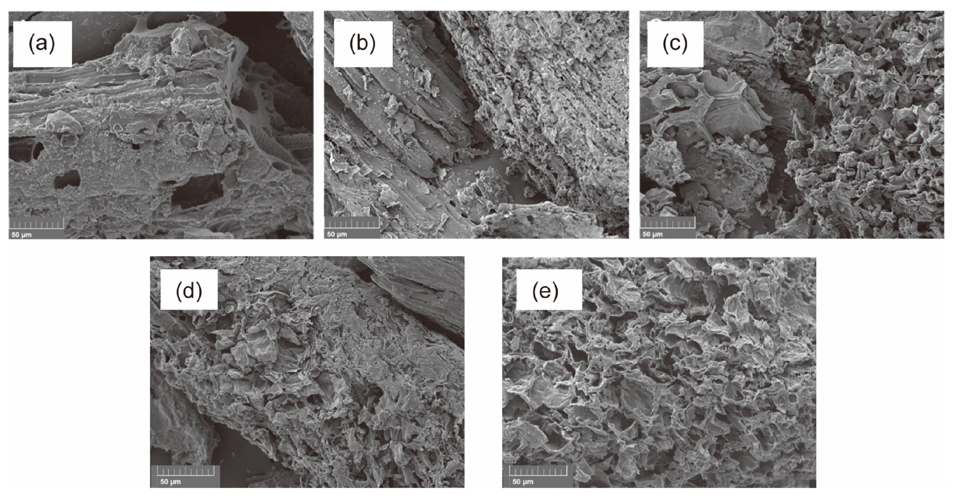 Polymers 16 01066 g005