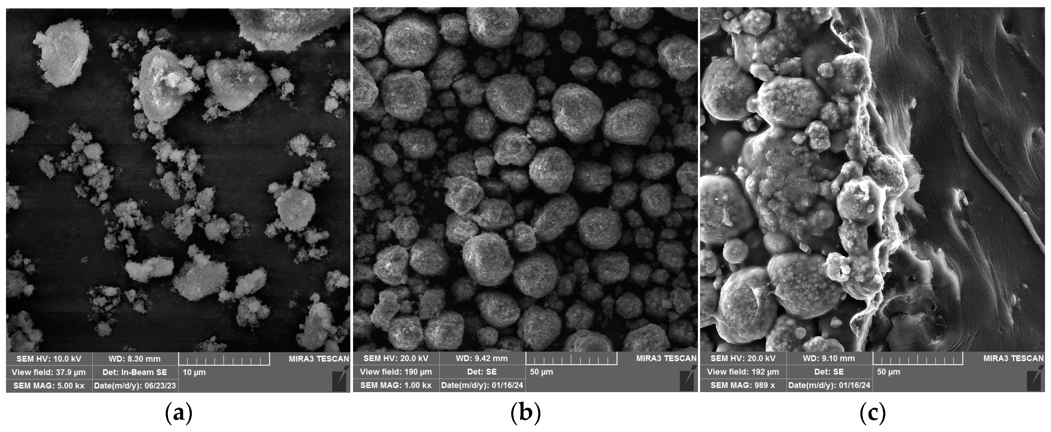 Polymers 16 01077 g005a Polymers 16 01077 g005a