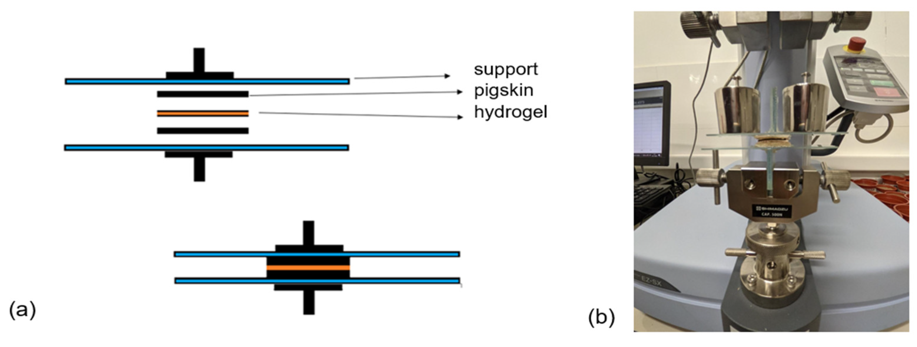 Polymers 16 01081 g001