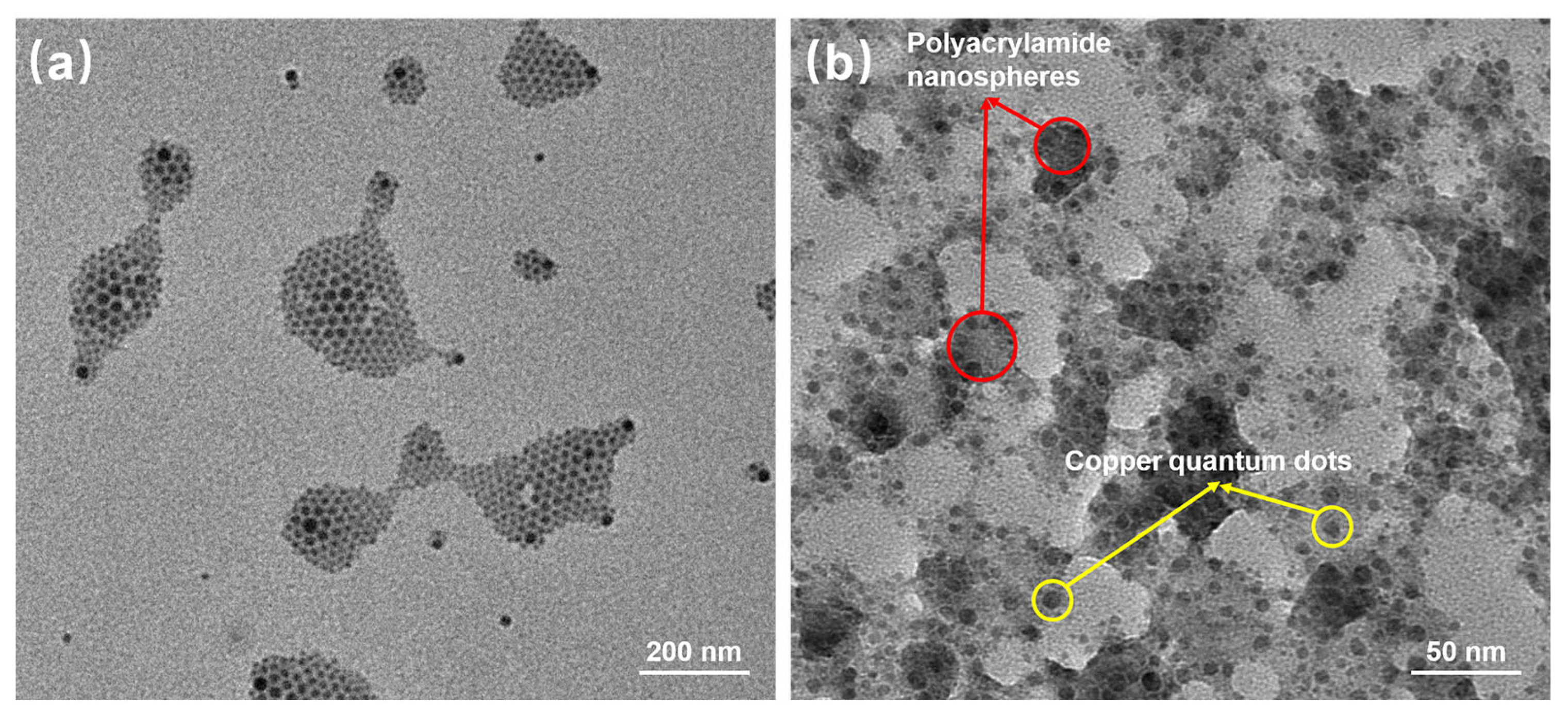 Polymers 16 01085 g006