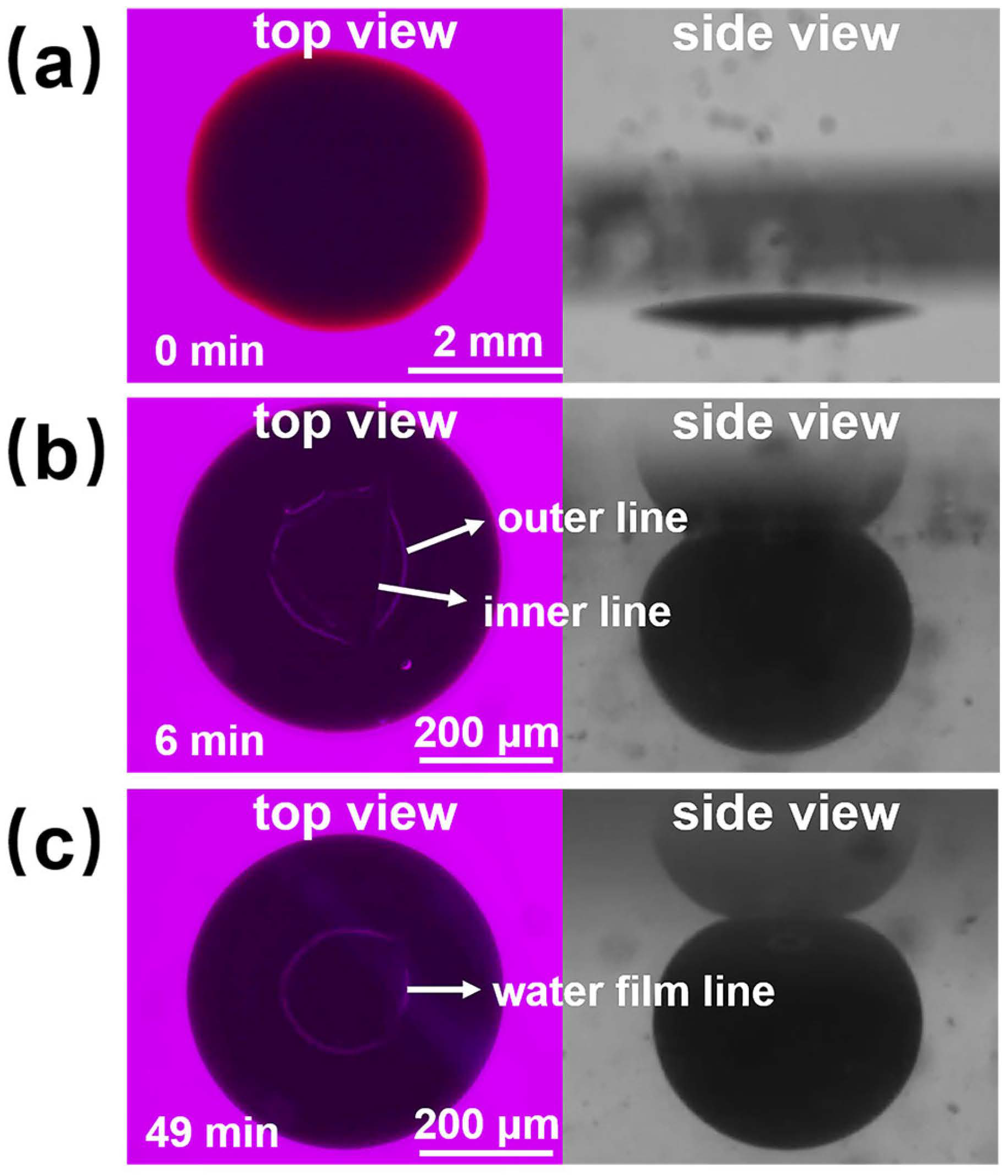 Polymers 16 01085 g010
