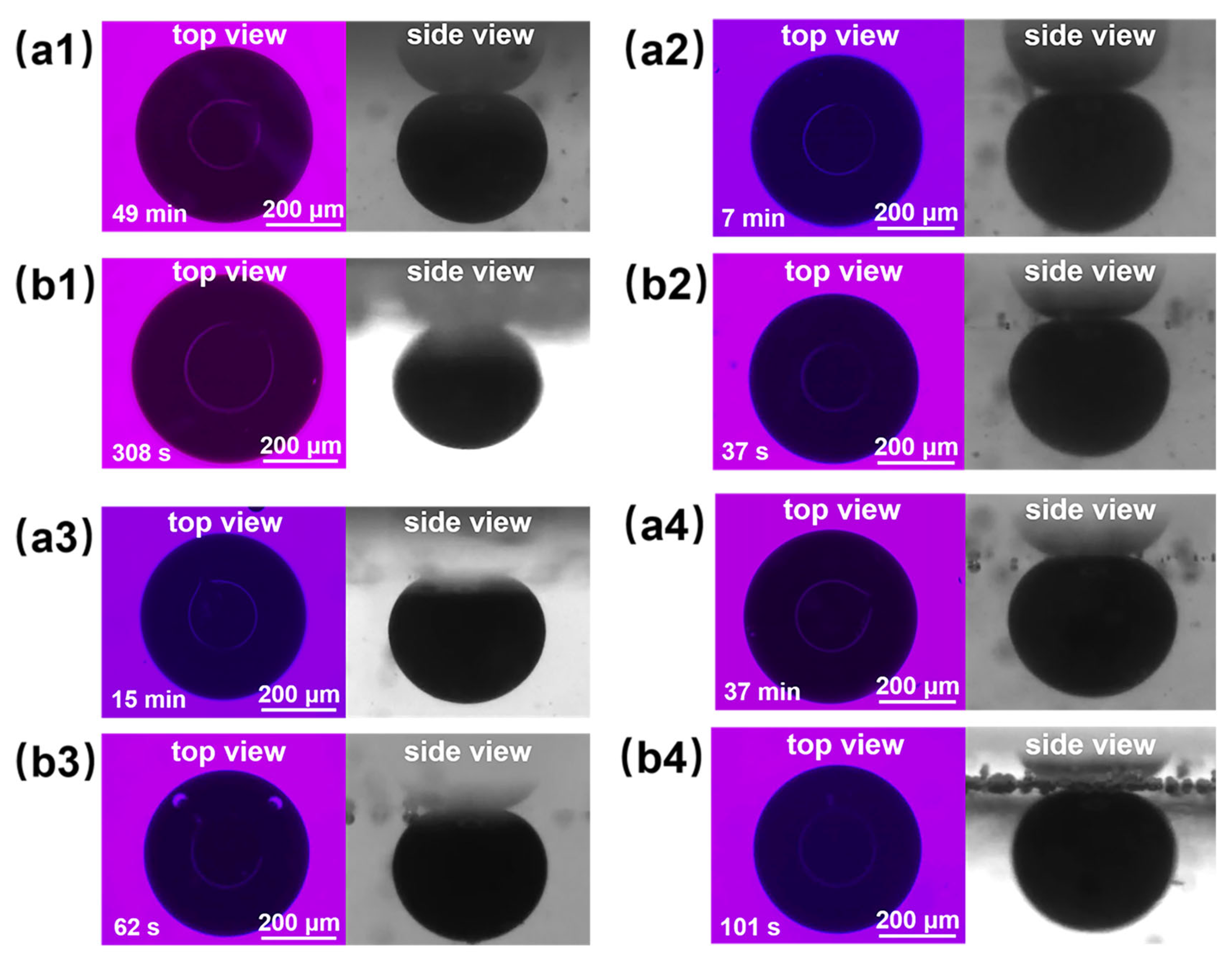 Polymers 16 01085 g011