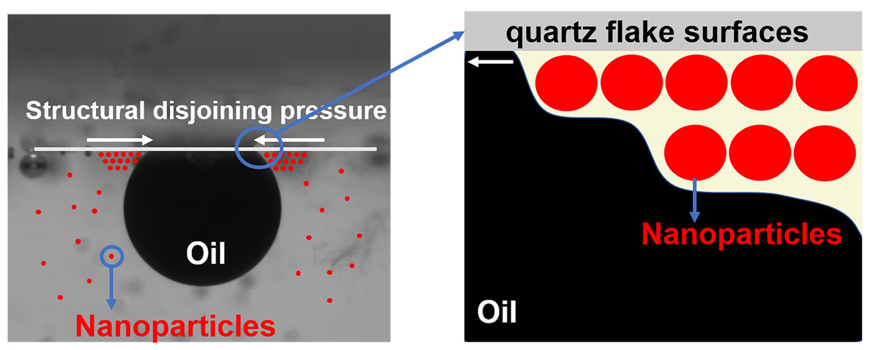 Polymers 16 01085 g012