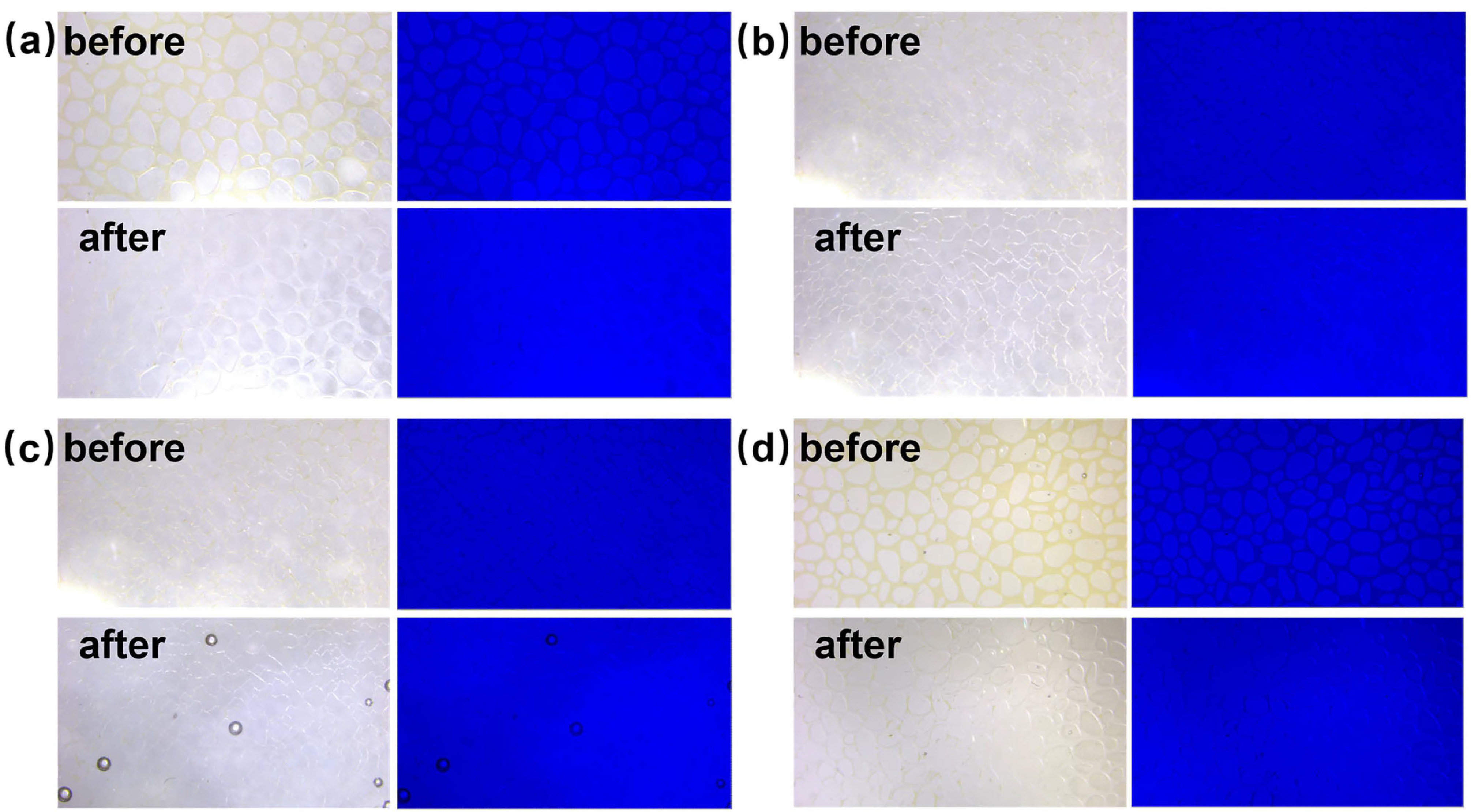 Polymers 16 01085 g013