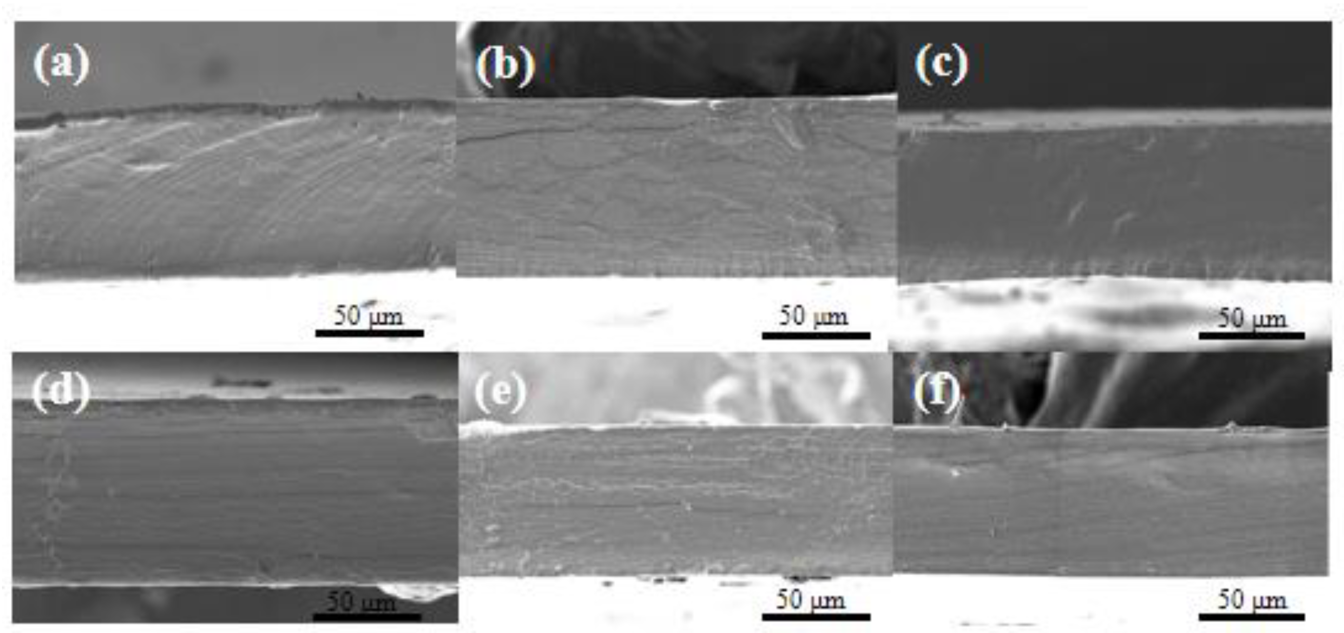 Polymers 16 01086 g001