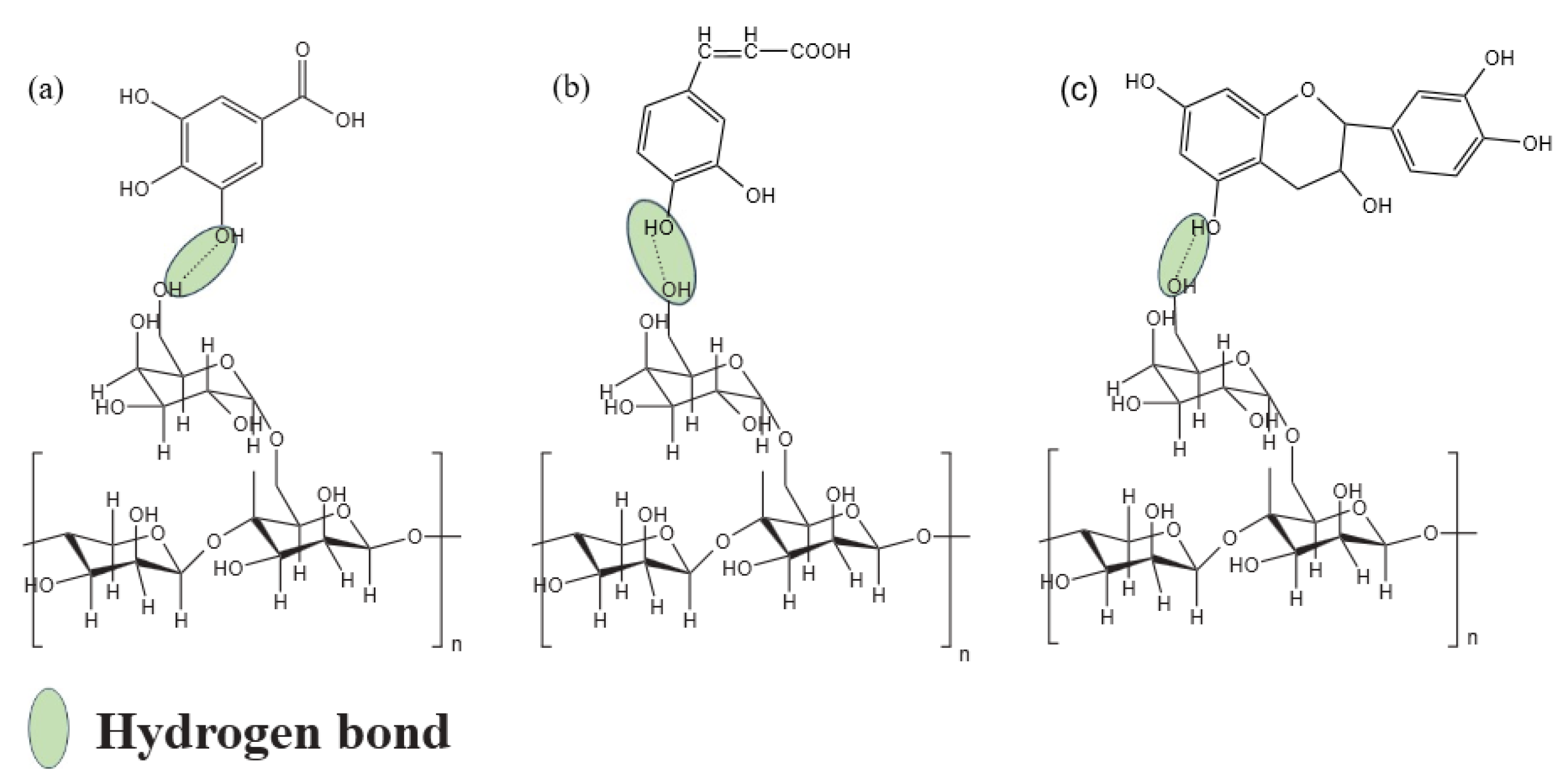 Polymers 16 01086 g003