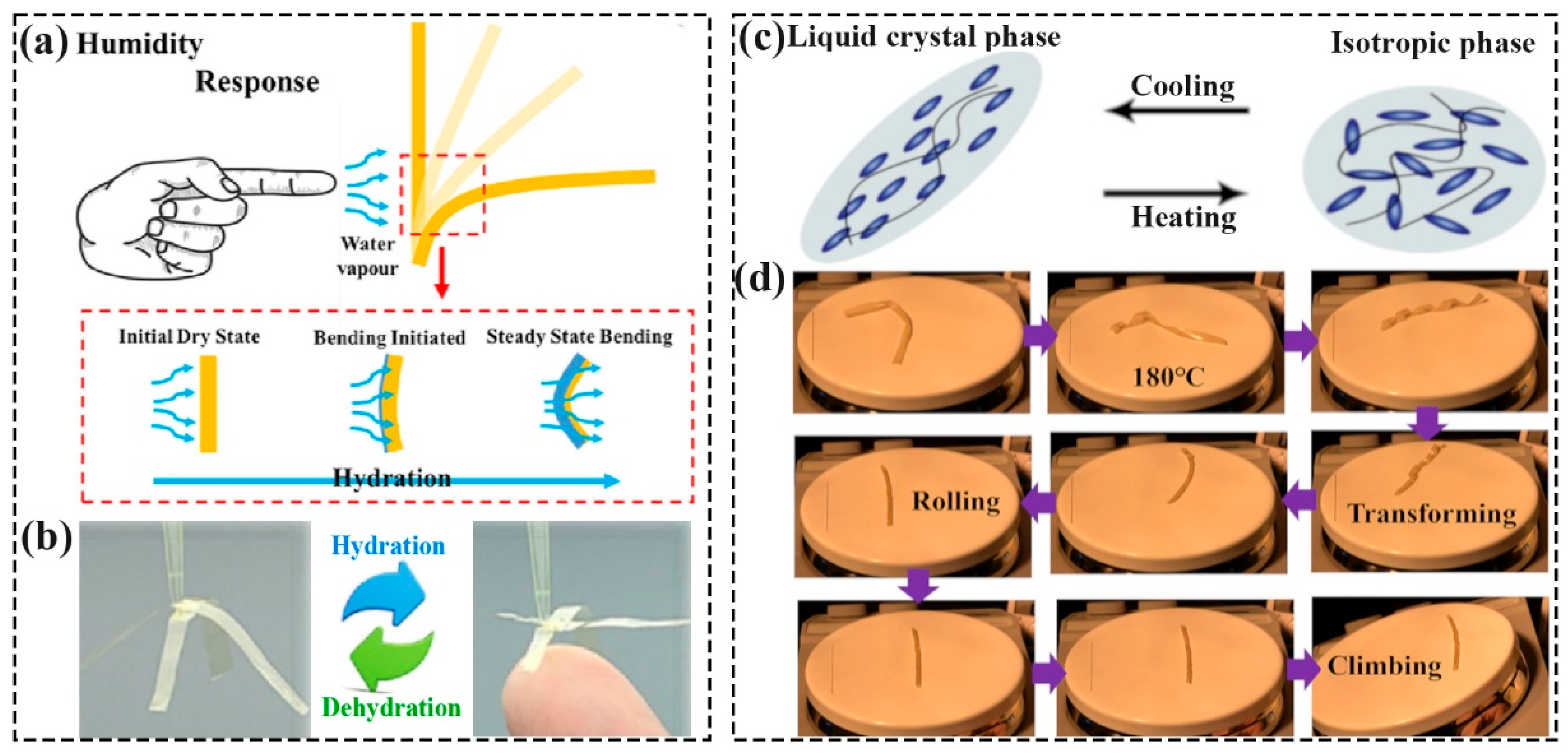 Polymers 16 01087 g001