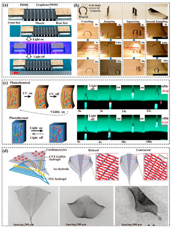 Polymers 16 01087 g005