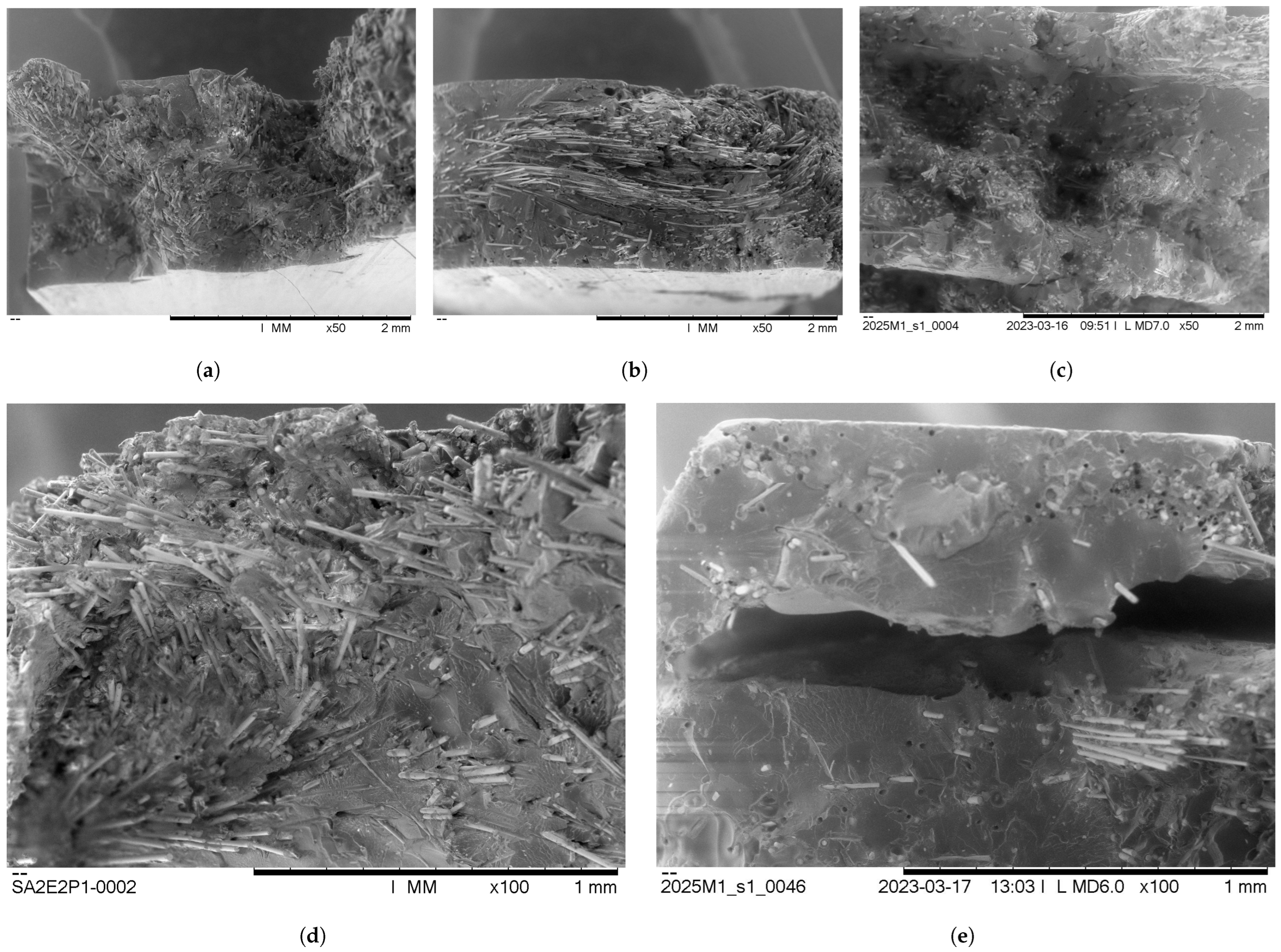 Polymers 16 01089 g007