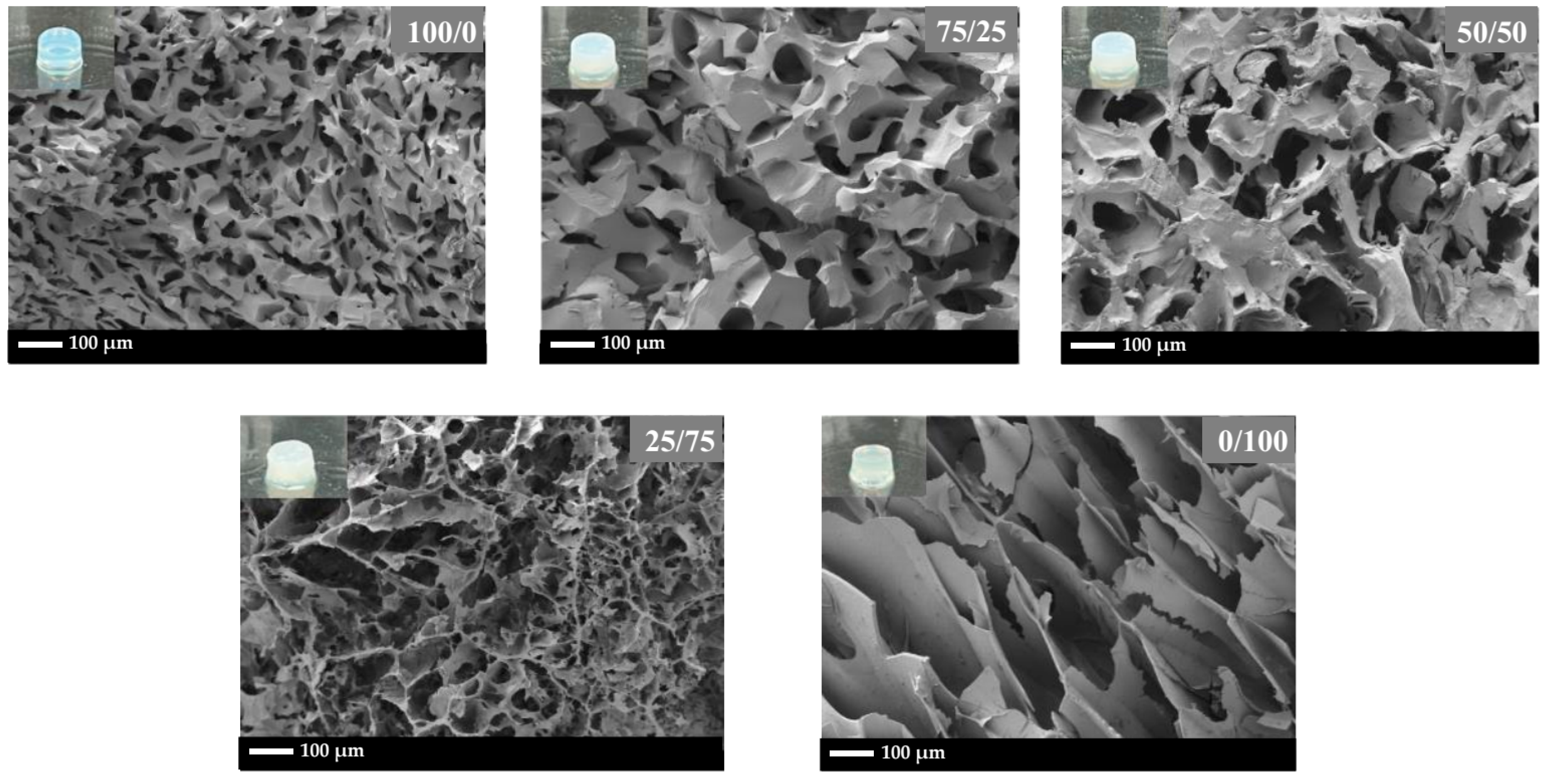 Polymers 16 01093 g007