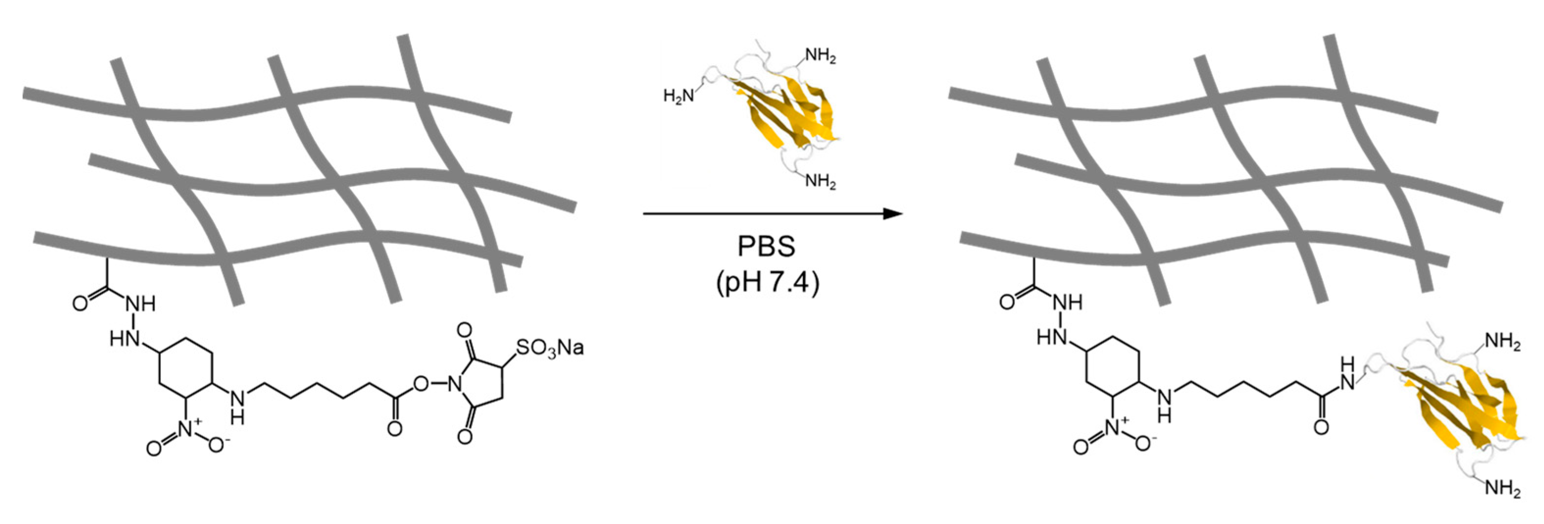 Polymers 16 01100 g005