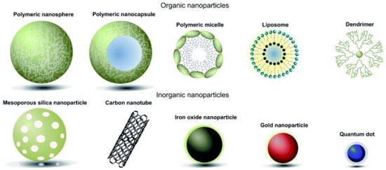 Polymers 16 01105 g005