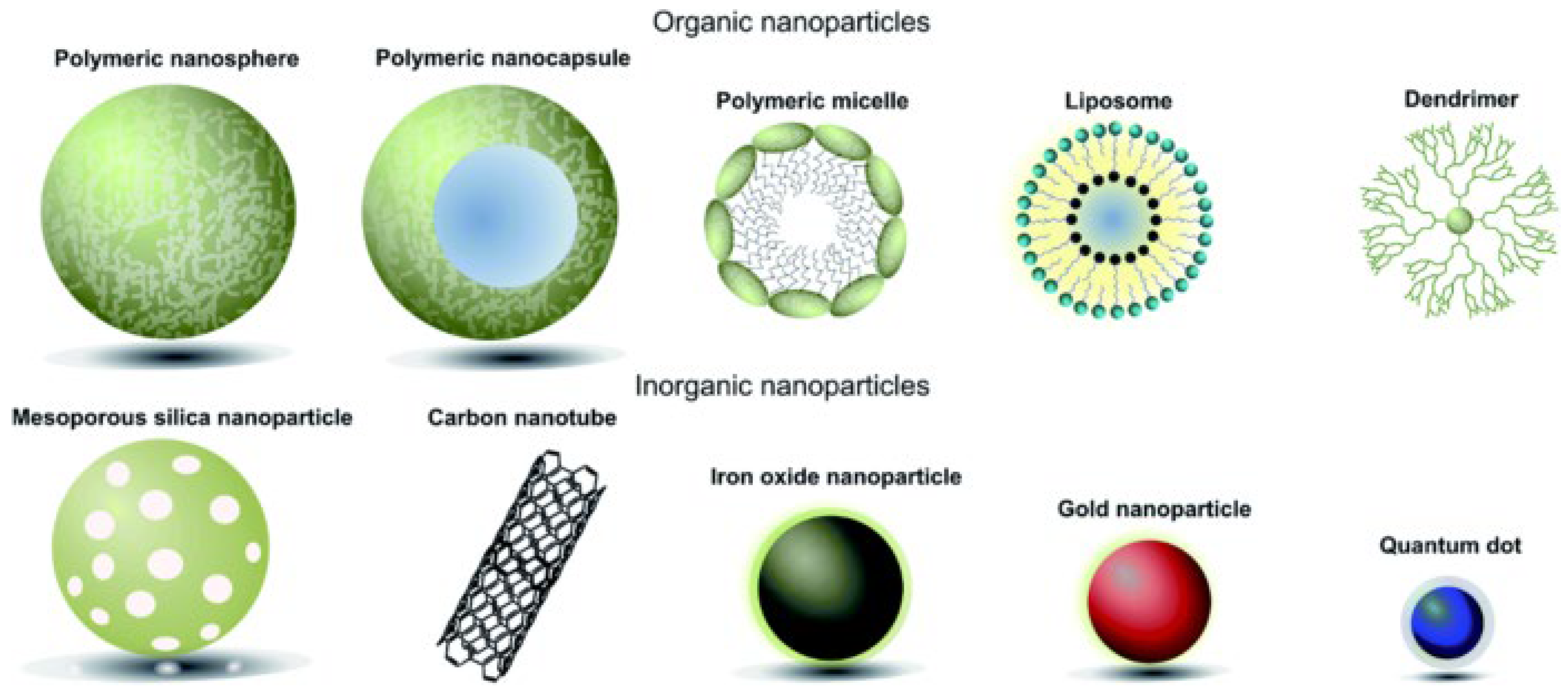 Polymers 16 01105 g005